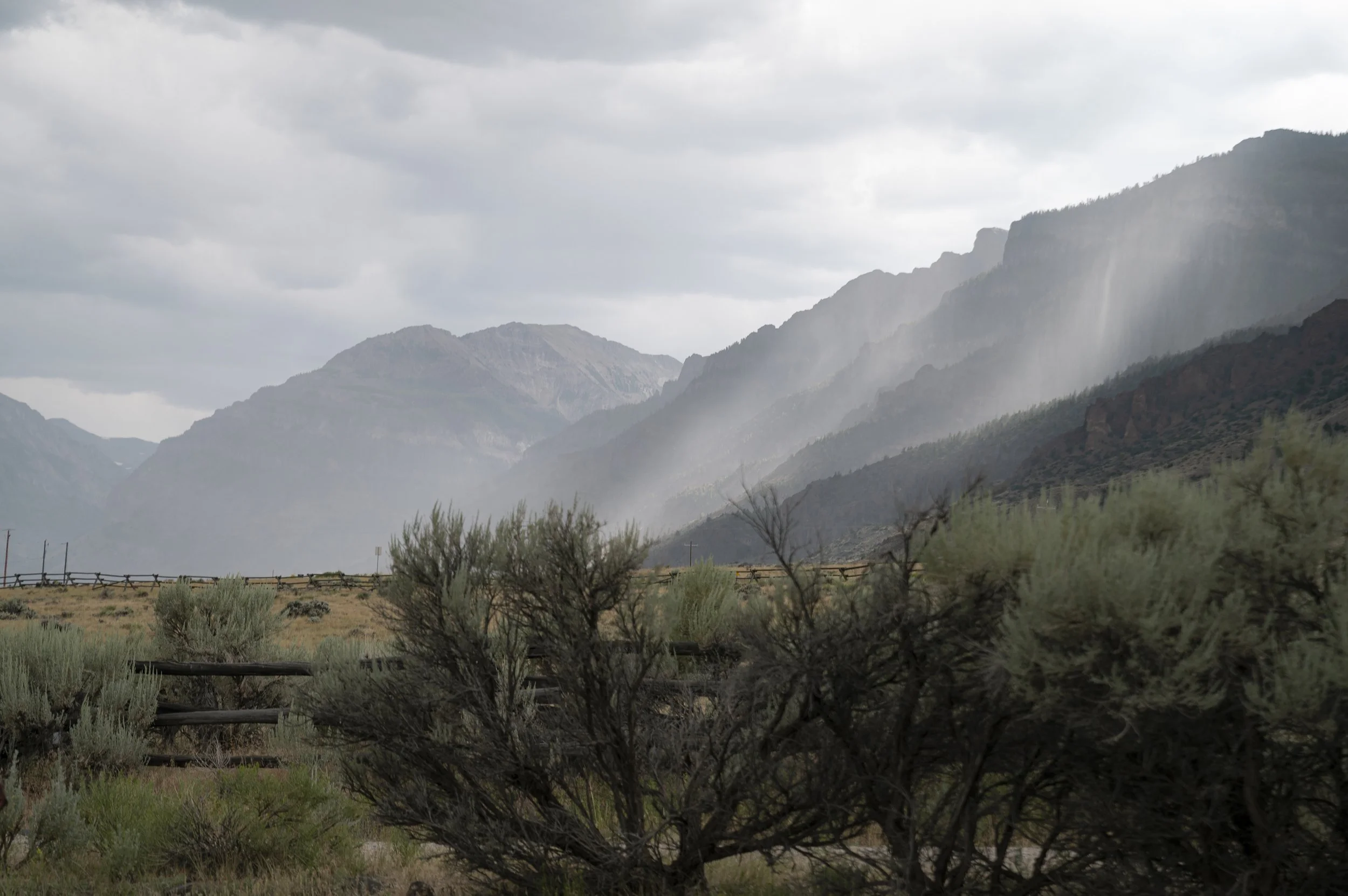 Michael+Ellie_Wedding_08-02-2025-366 copy.jpg