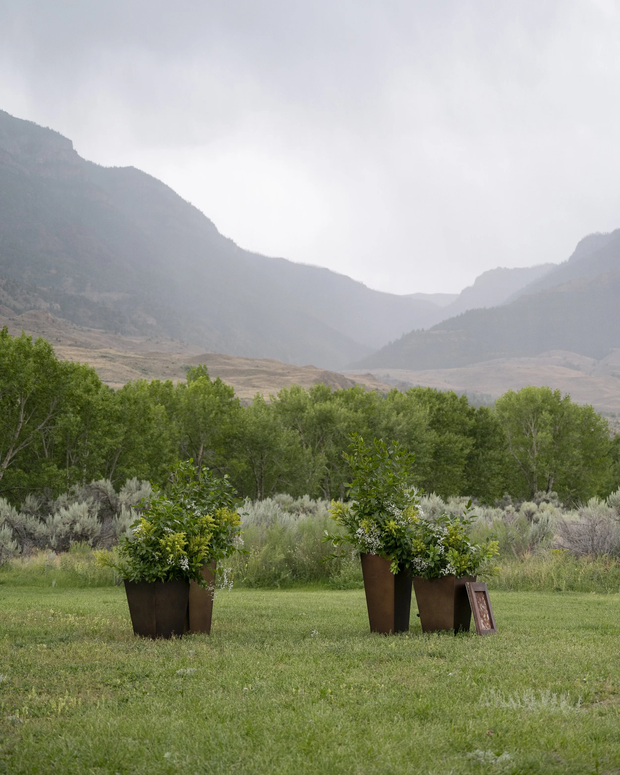 Michael+Ellie_Wedding_08-02-2025-376 copy.jpg