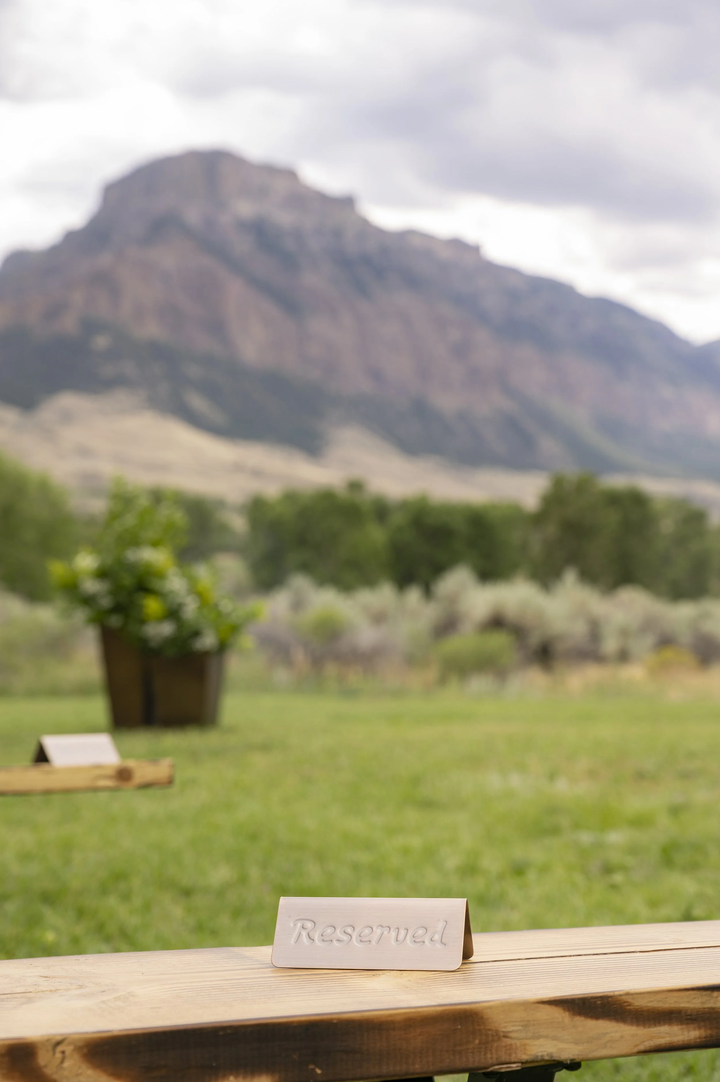 Michael+Ellie_Wedding_08-02-2025-26 copy.jpg