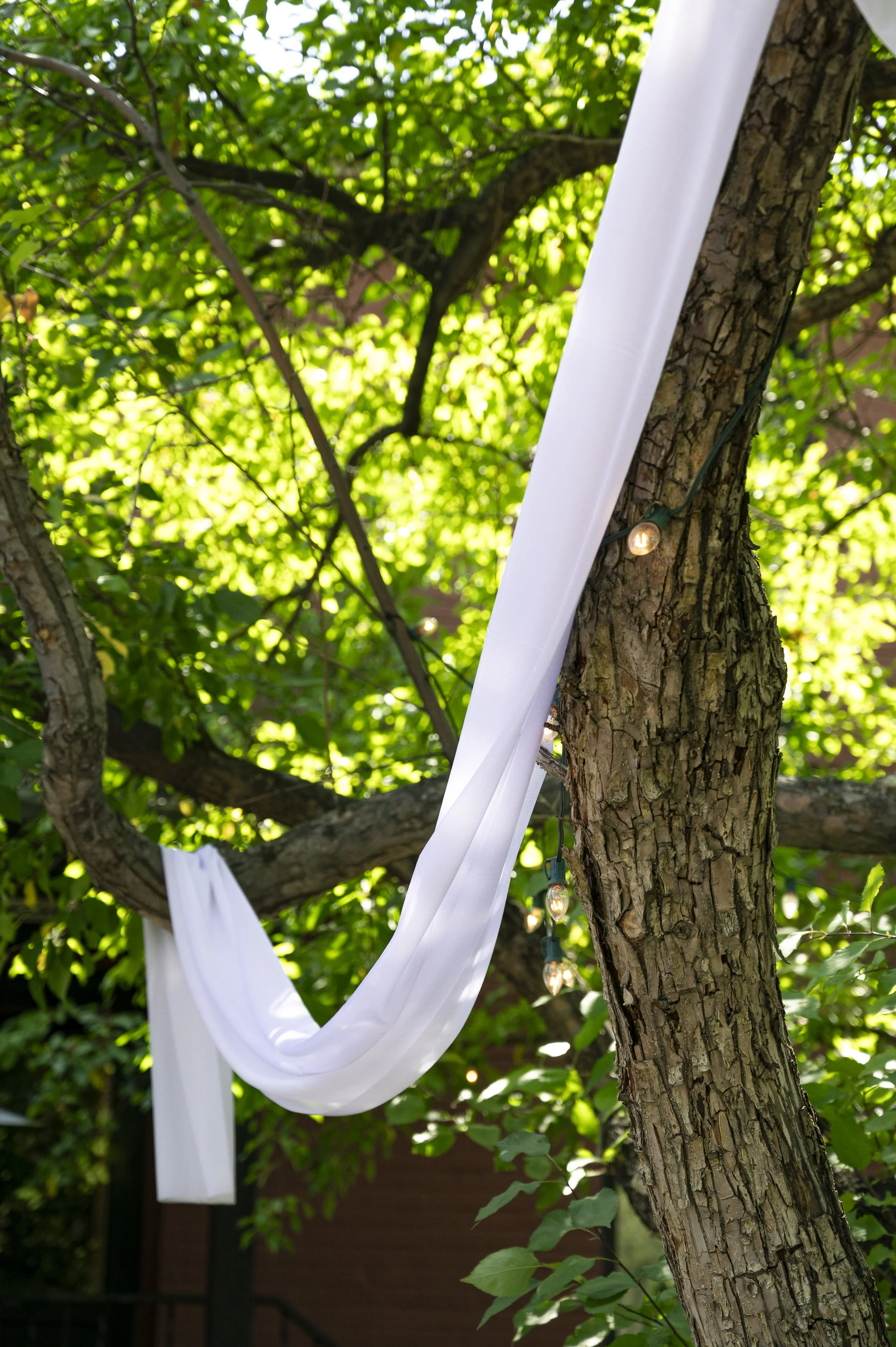 Zach+Hannah_WeddingCeremony-197 copy.jpg