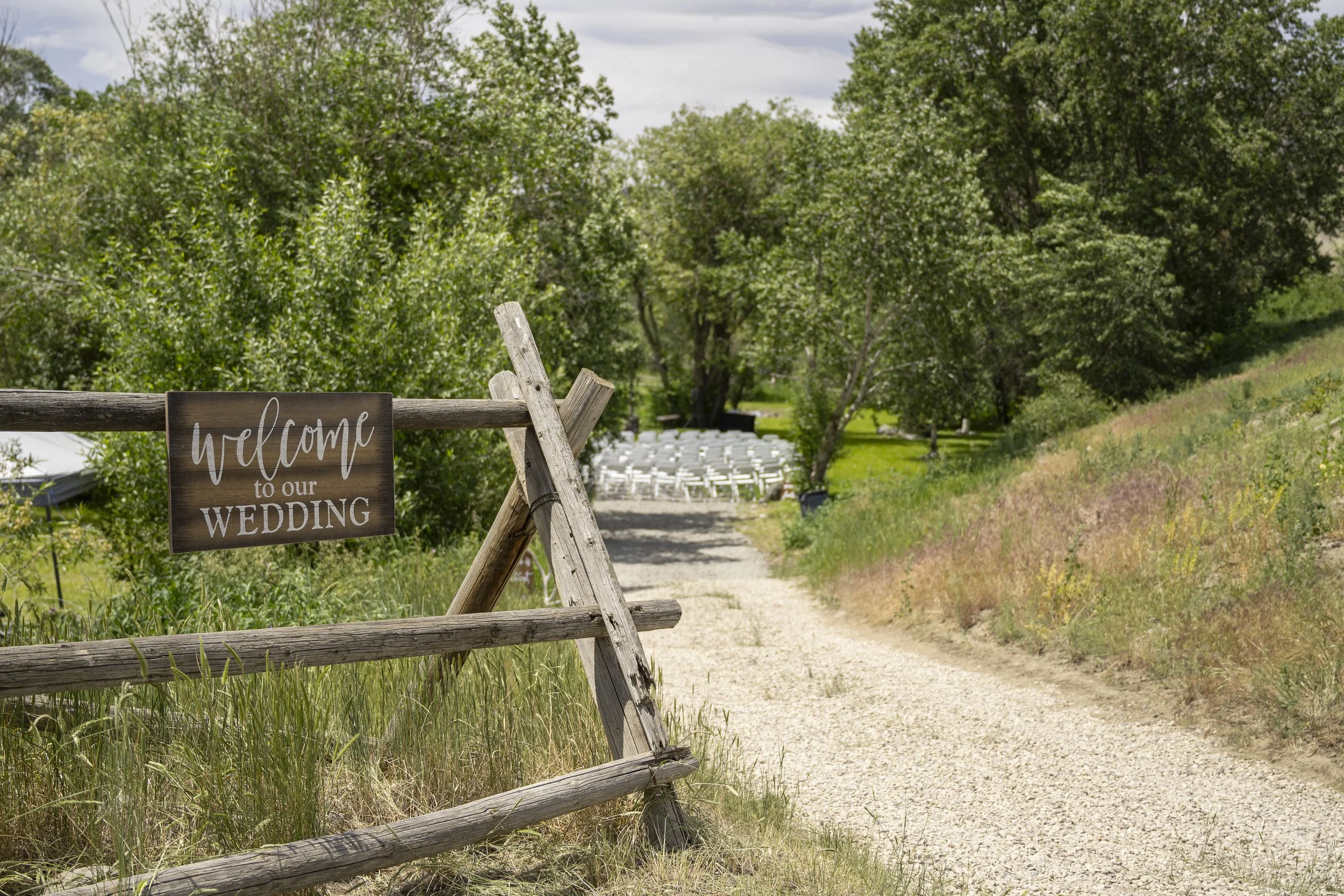 Swenson Backyard Wedding  June, 2025