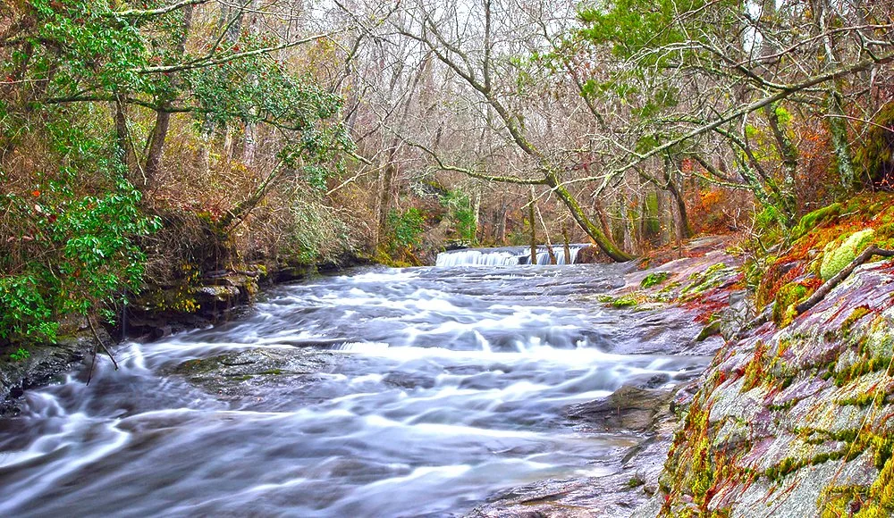Blount Community Action Agency of Northeast Alabama