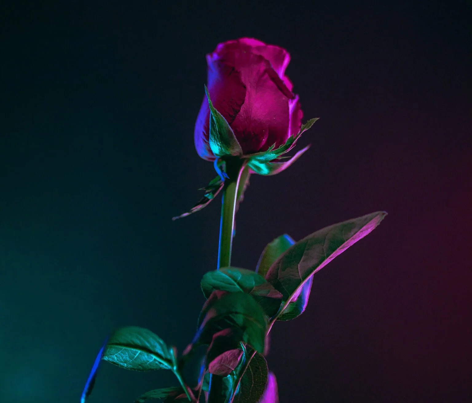 The Greatest Teacher Of All?