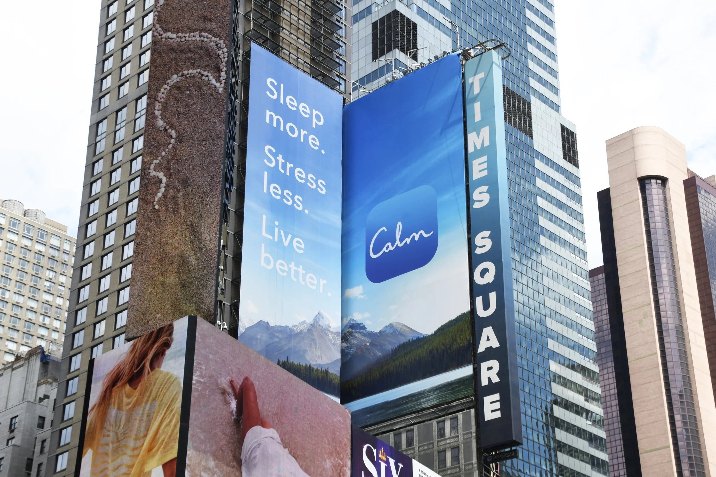Calm Times Square