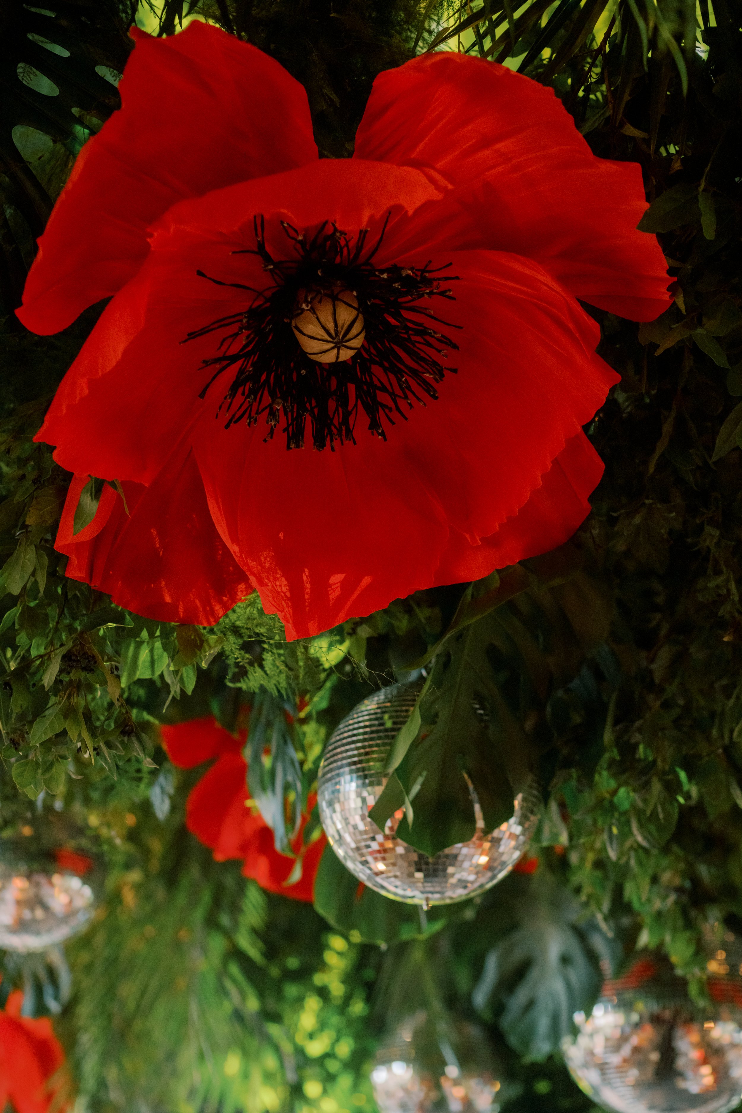 V&amp_P_Madrid_Wedding_@andyourstoryDSC06585.jpg