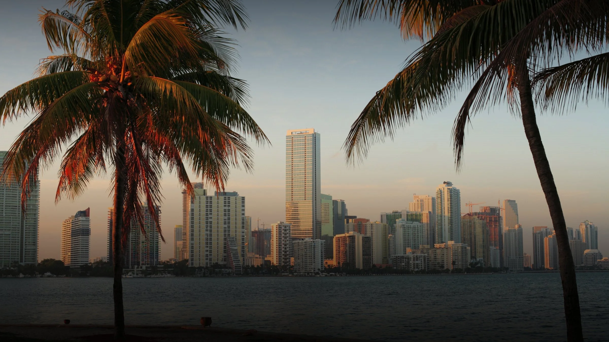 City skyline with tall buildings viewed from across a body of water, framed by two palm trees in the foreground at sunset.