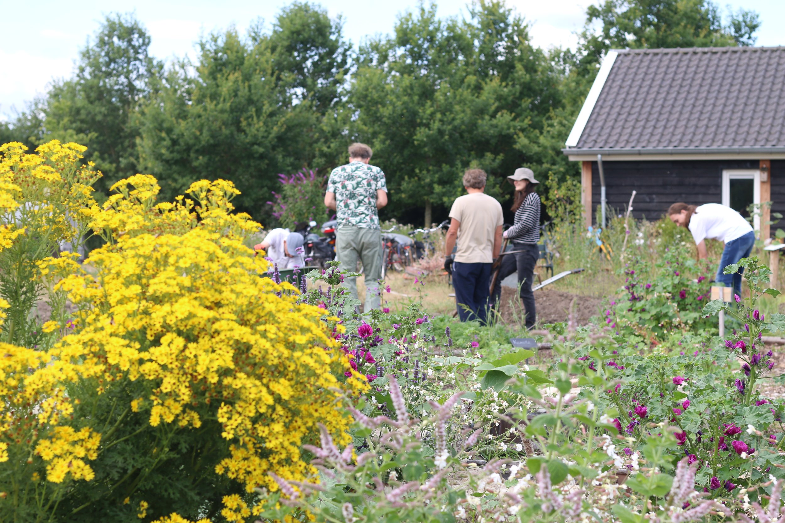 Een impressie van een dag in de Beewell-tuin in Hoogland.