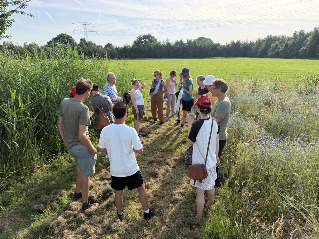 In de Beewell-tuin ontmoetje leuke mensen en er is altijd wat te doen. in jouw tempo help je mee als vrijwilliger.