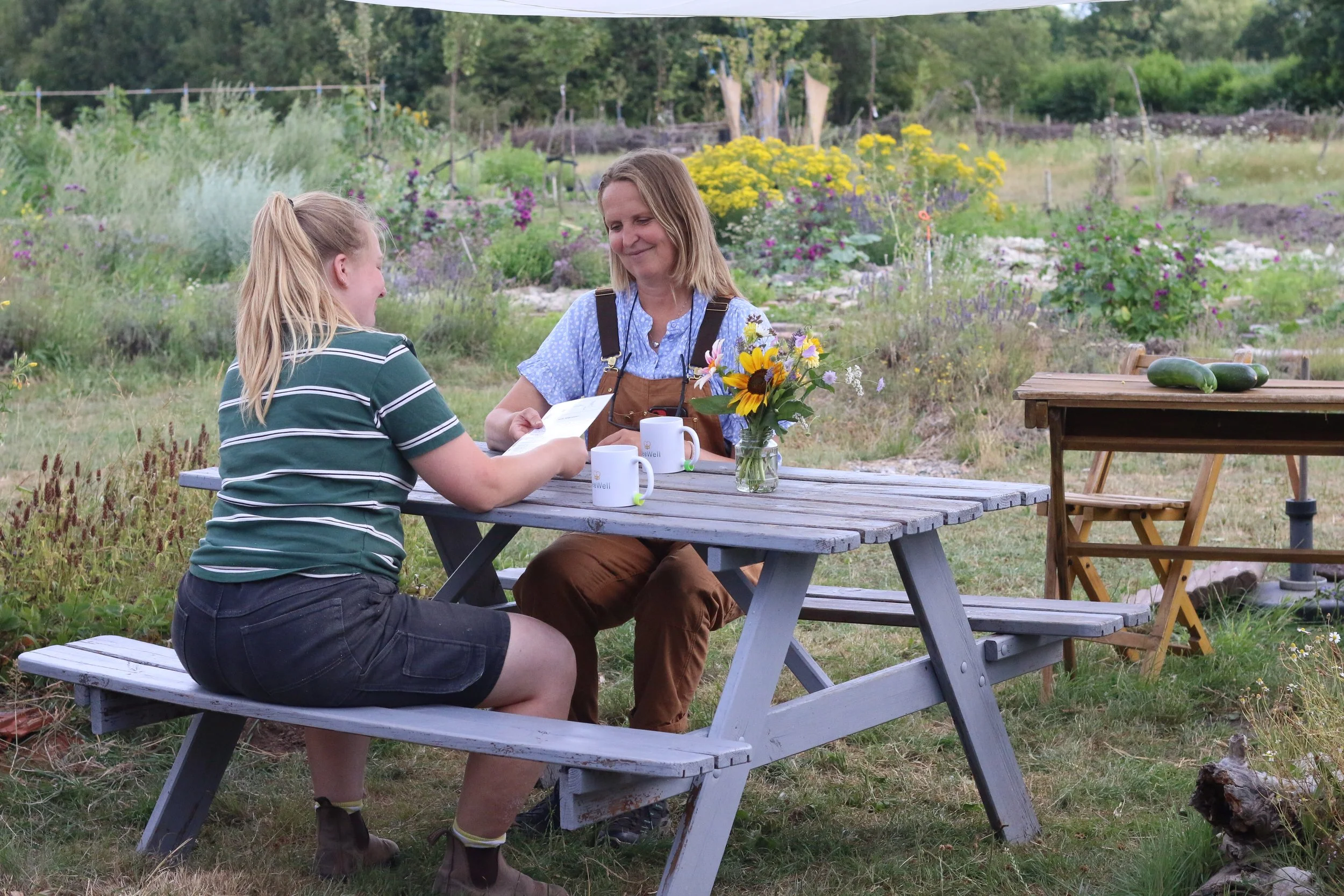 Persoonlijke begeleiding in de Beewell-tuin. terwijl jij herstelt, help je de natuur herstellen.