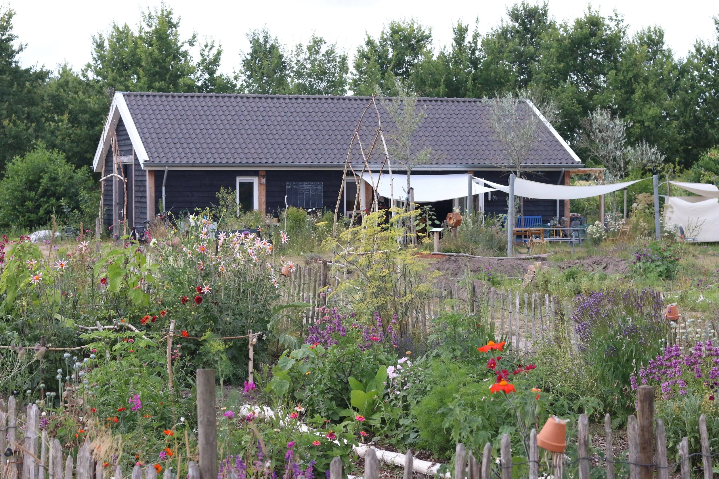 De schuur en tuin van Beewell aan de Coelhorsterweg 38a in hoogland-West