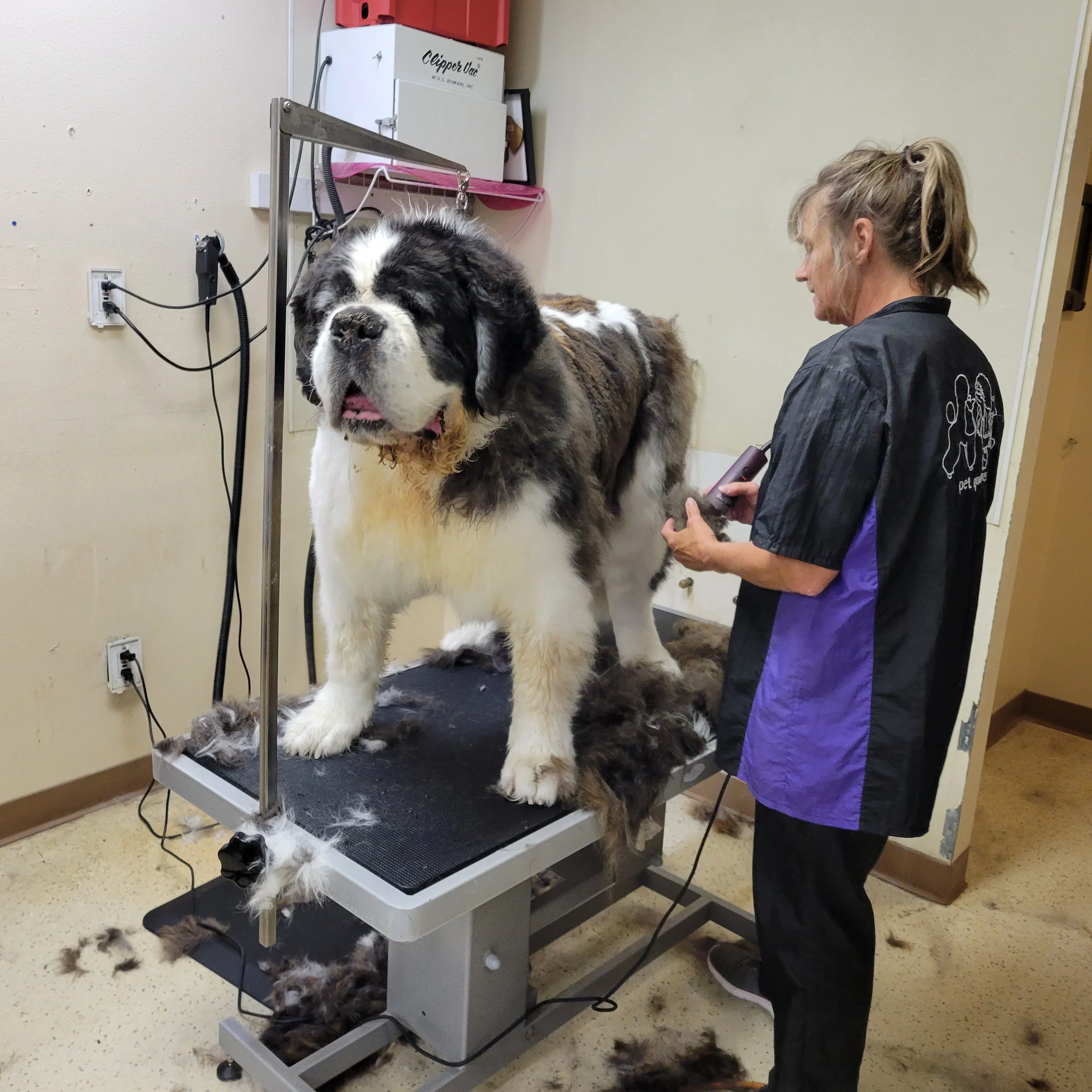 Large/Giant Breed — Stubby's Dog Wash and Grooming Salon