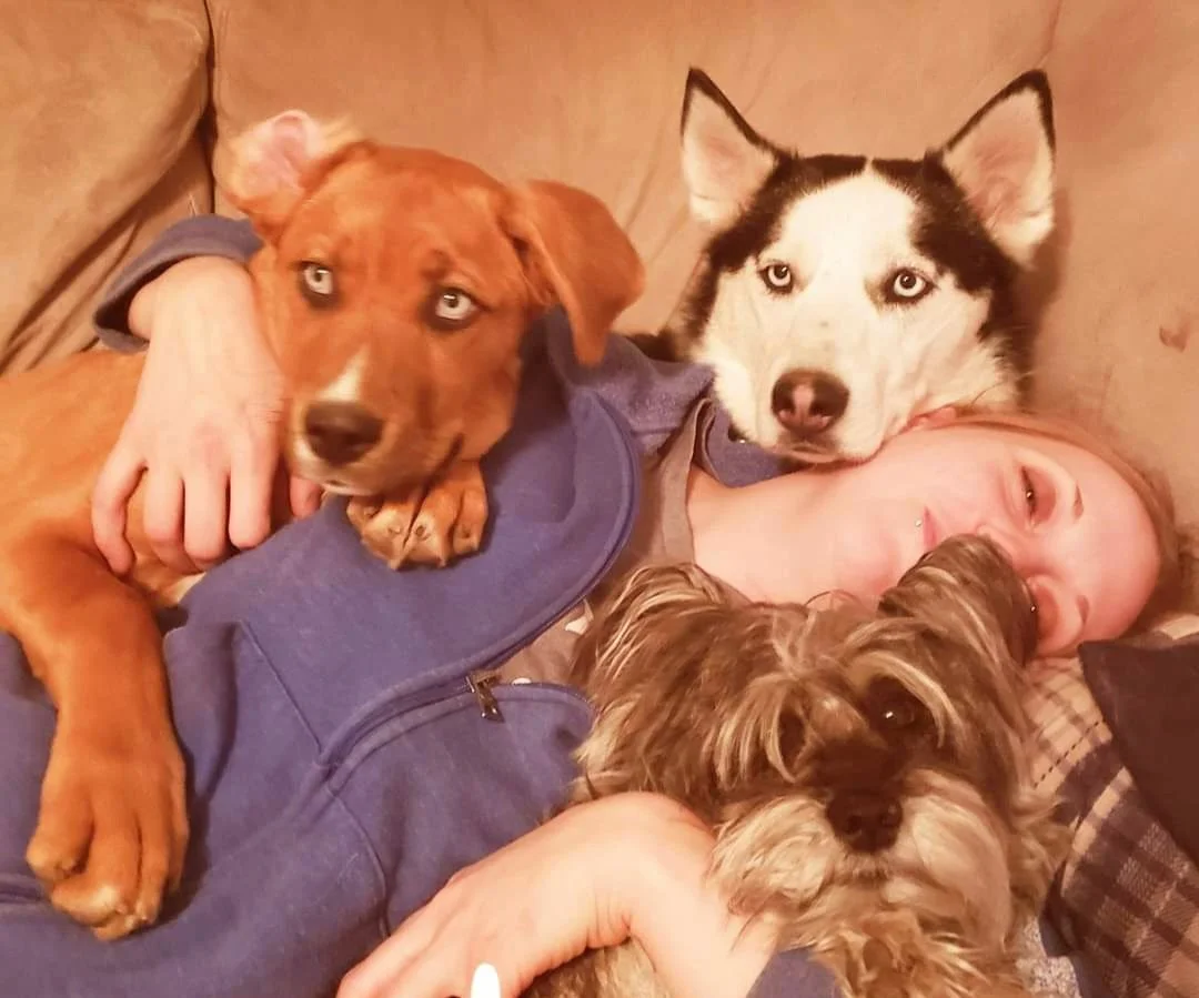 Stubby's Dog Wash & Grooming Salon