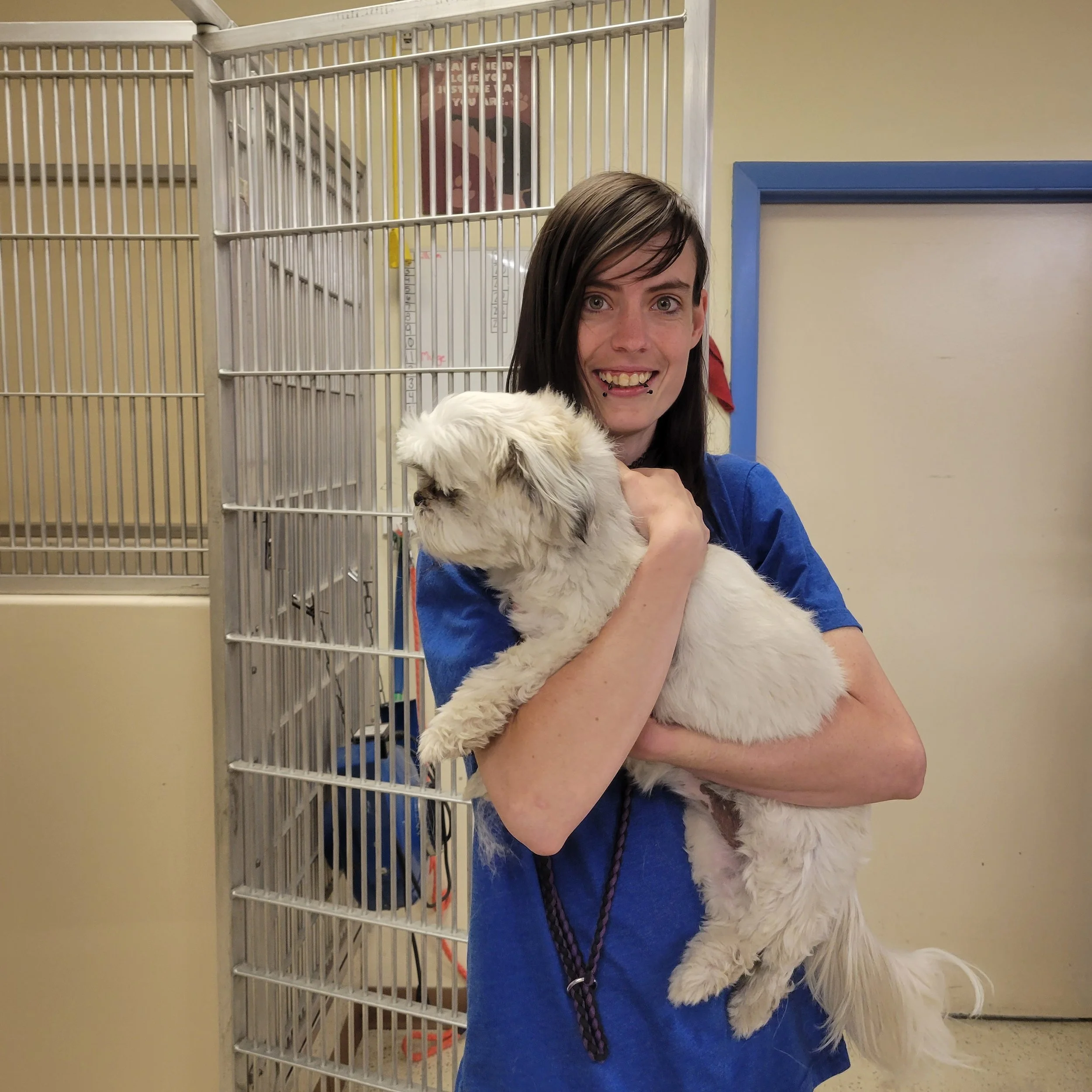 Stubby's Dog Wash & Grooming Salon