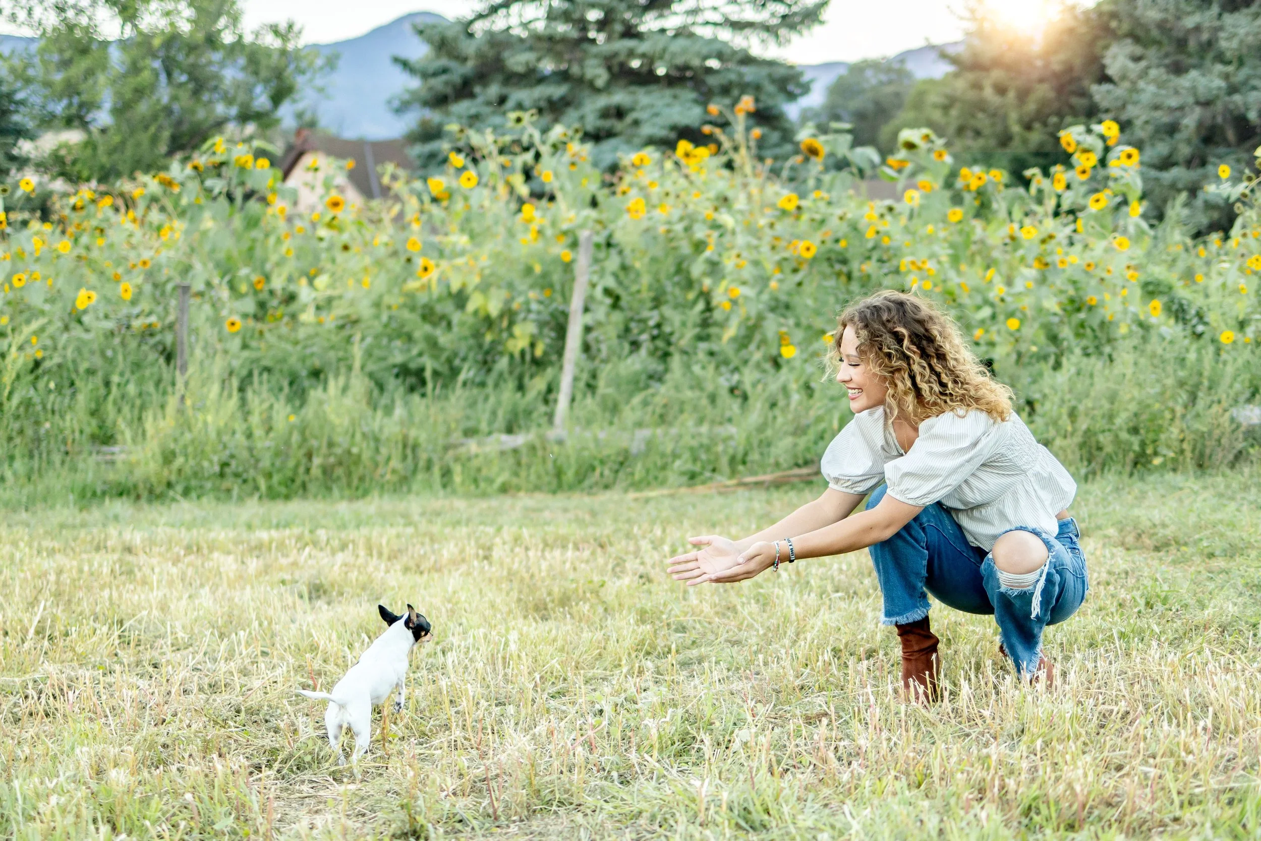 General 2 — Stubby's Dog Wash and Grooming Salon