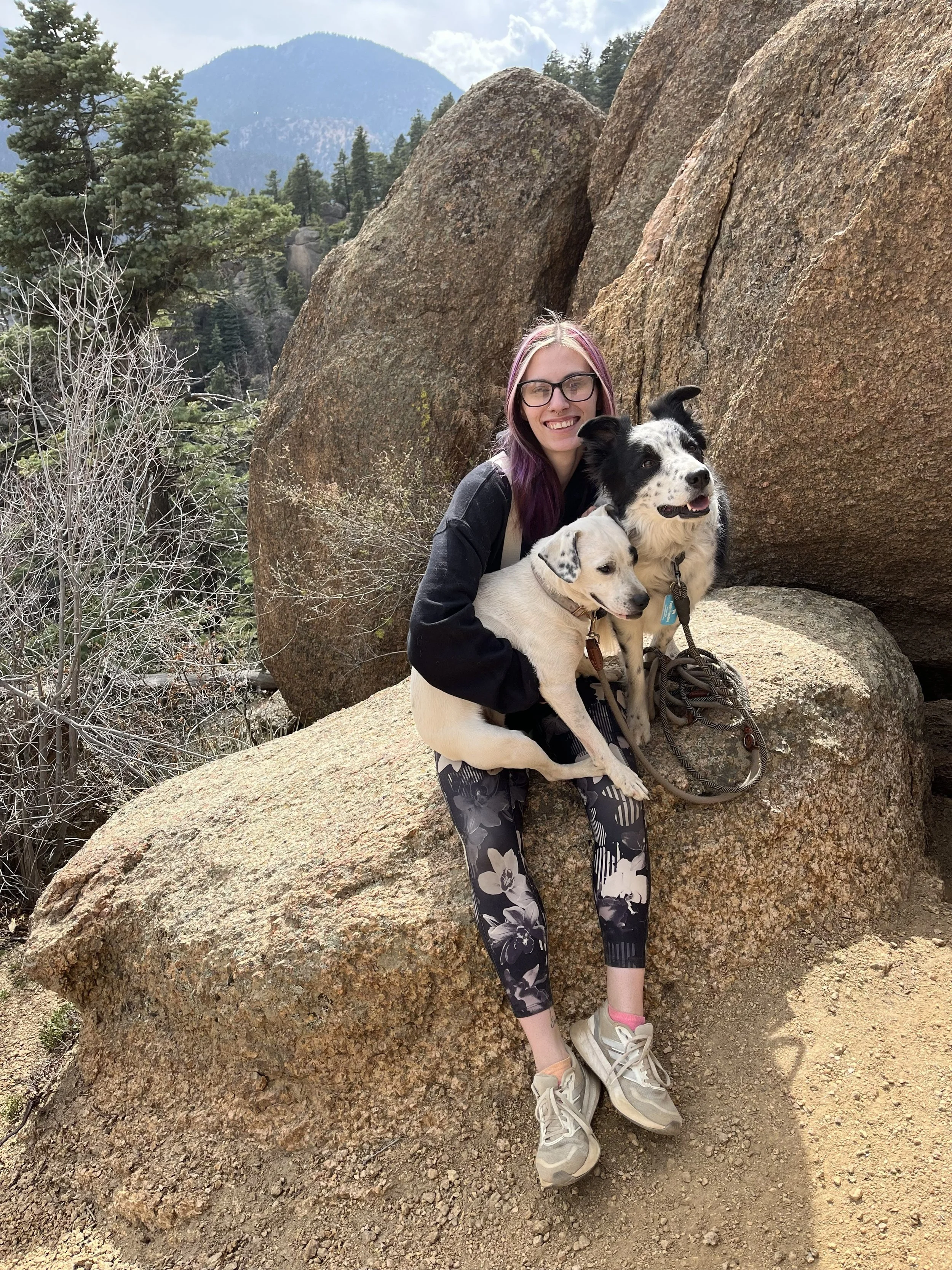 Dog groomer with Shih Tzu on grooming table