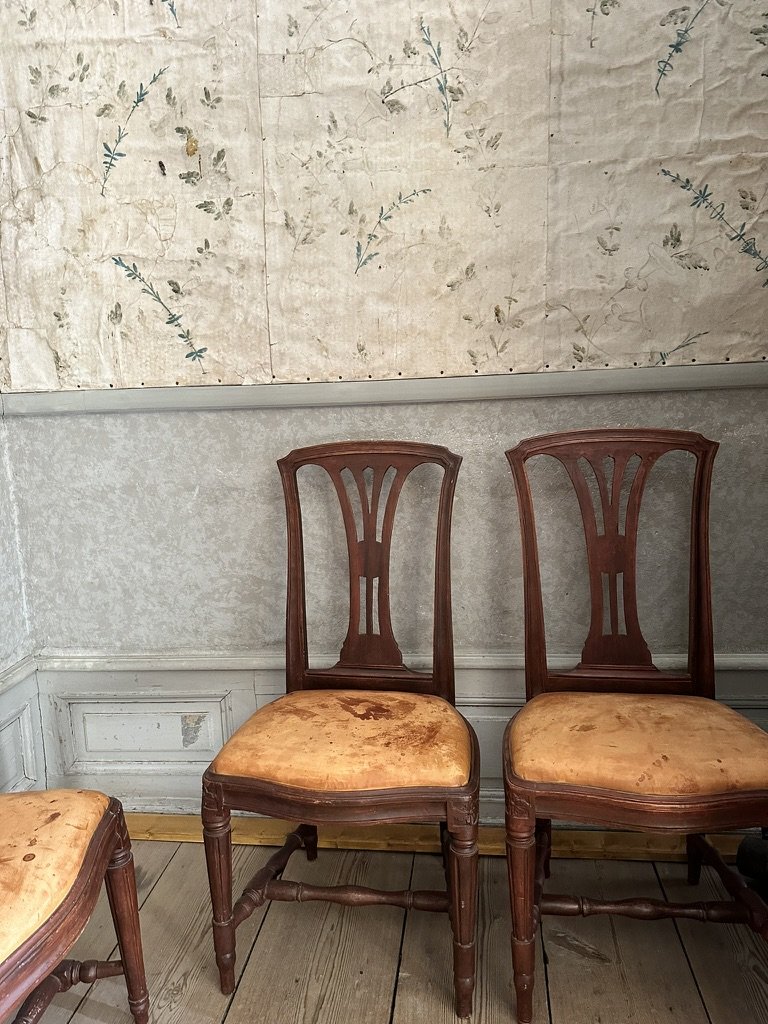 413F53E7-F8BB-4638-BE59-726E22A510C2_1_105_c.jpeg