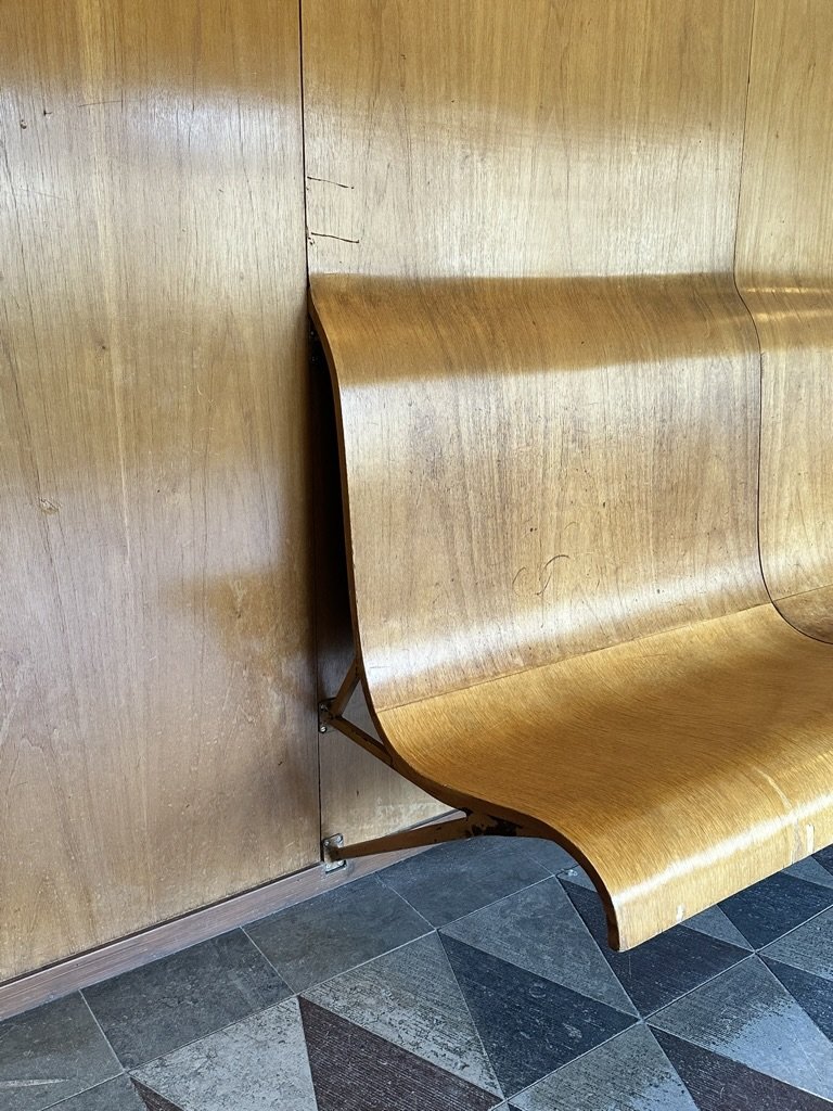 ADA53E66-E9B0-4131-A8ED-DFBD96D0249D_1_105_c.jpeg