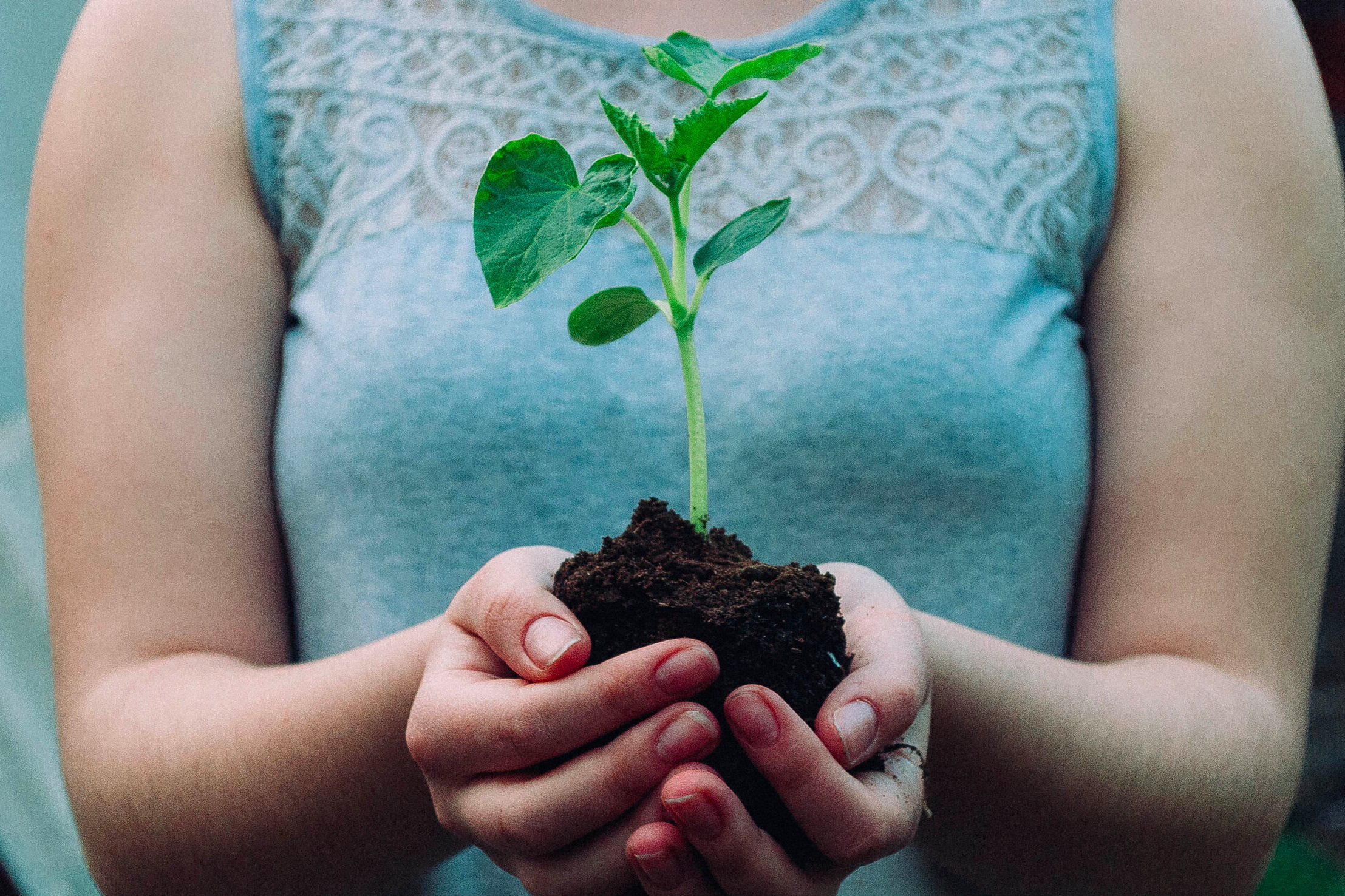 A person holding a small green plant with soil, symbolizing growth and environmental care.