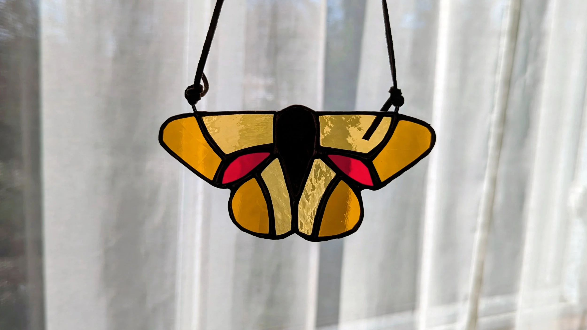 moth amber window.jpg