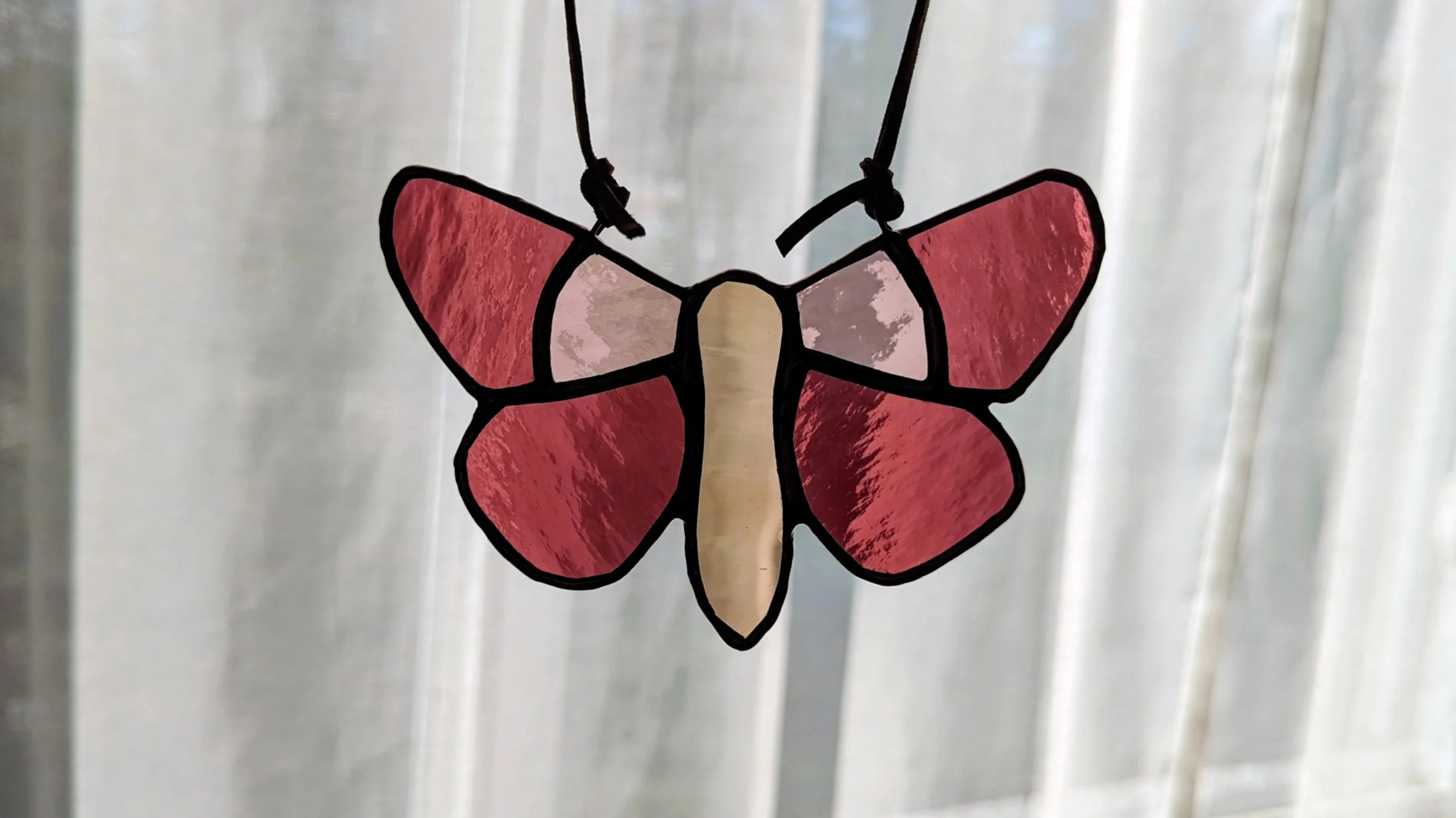 moth pink window.jpg