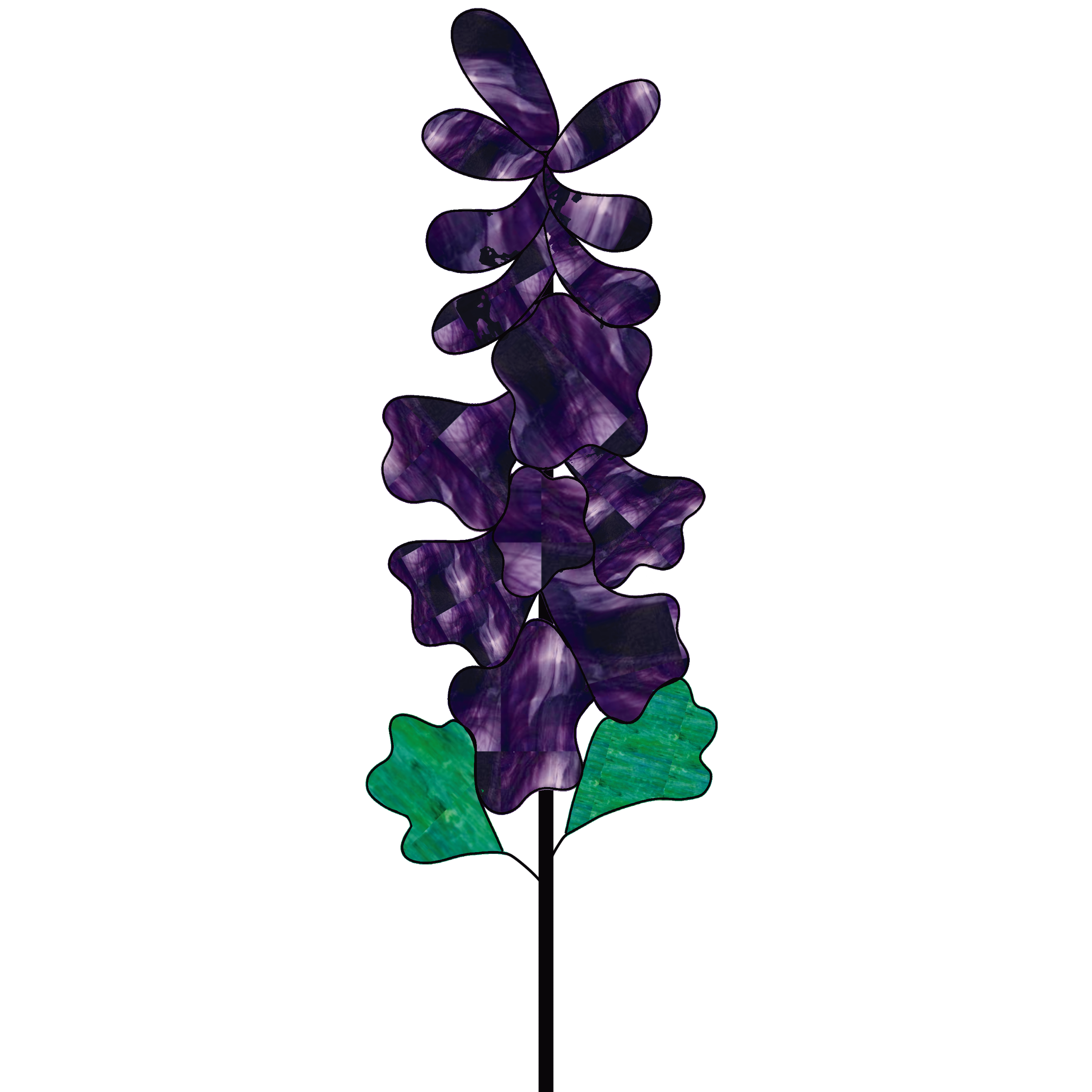 larkspur color.png