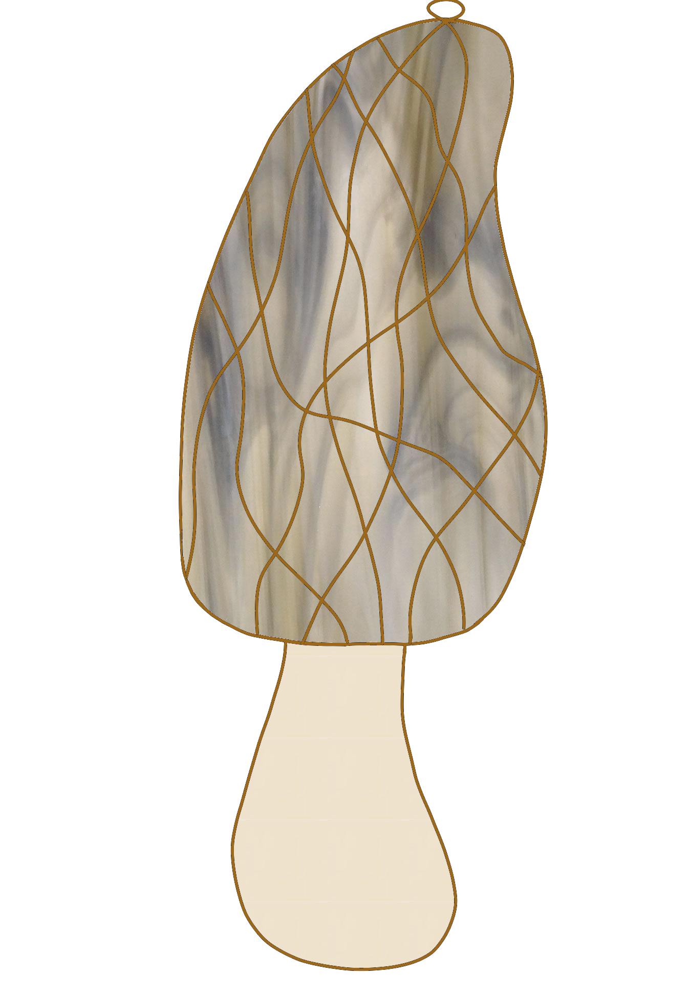 morel mushroom color.png