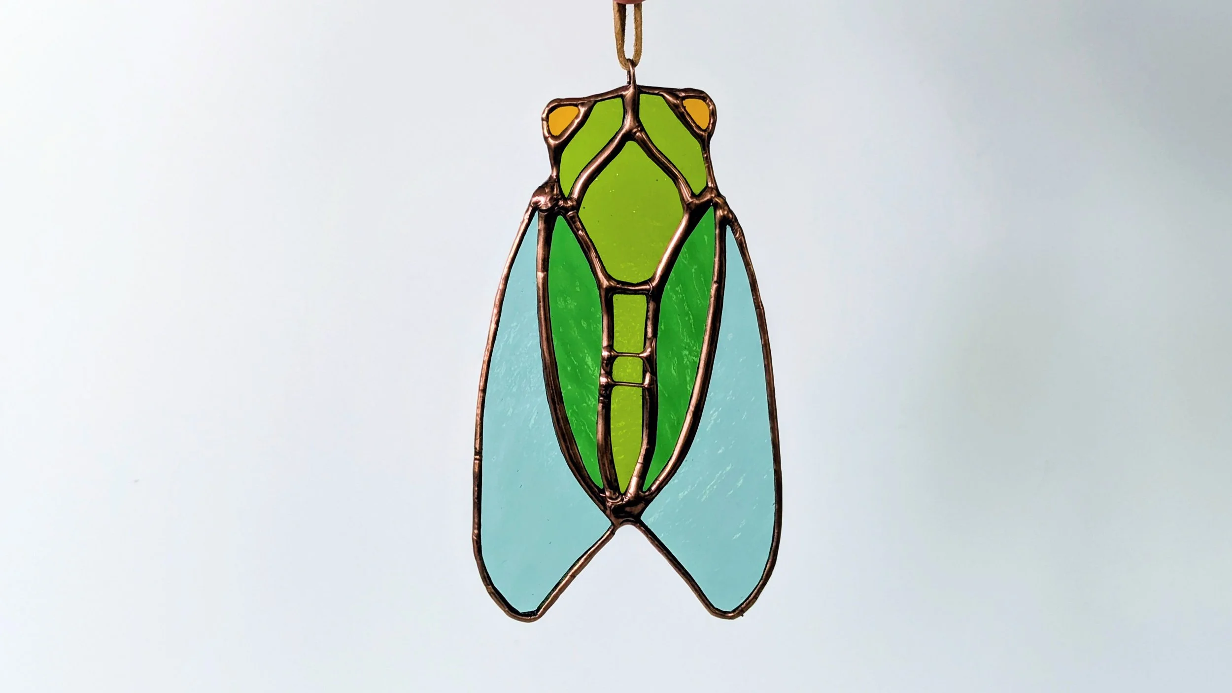 cicada hanging.jpg