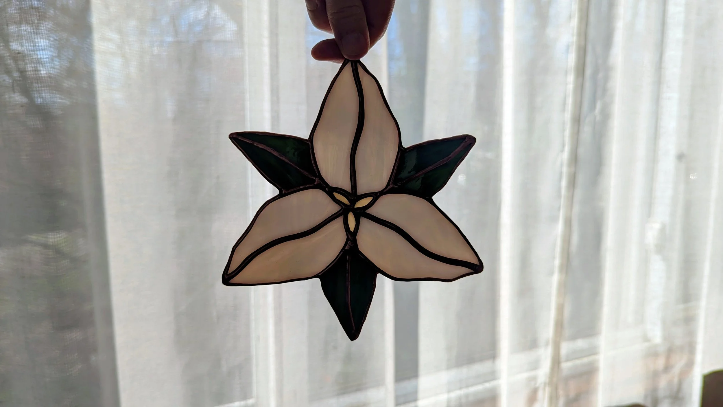 trillium cream window.jpg