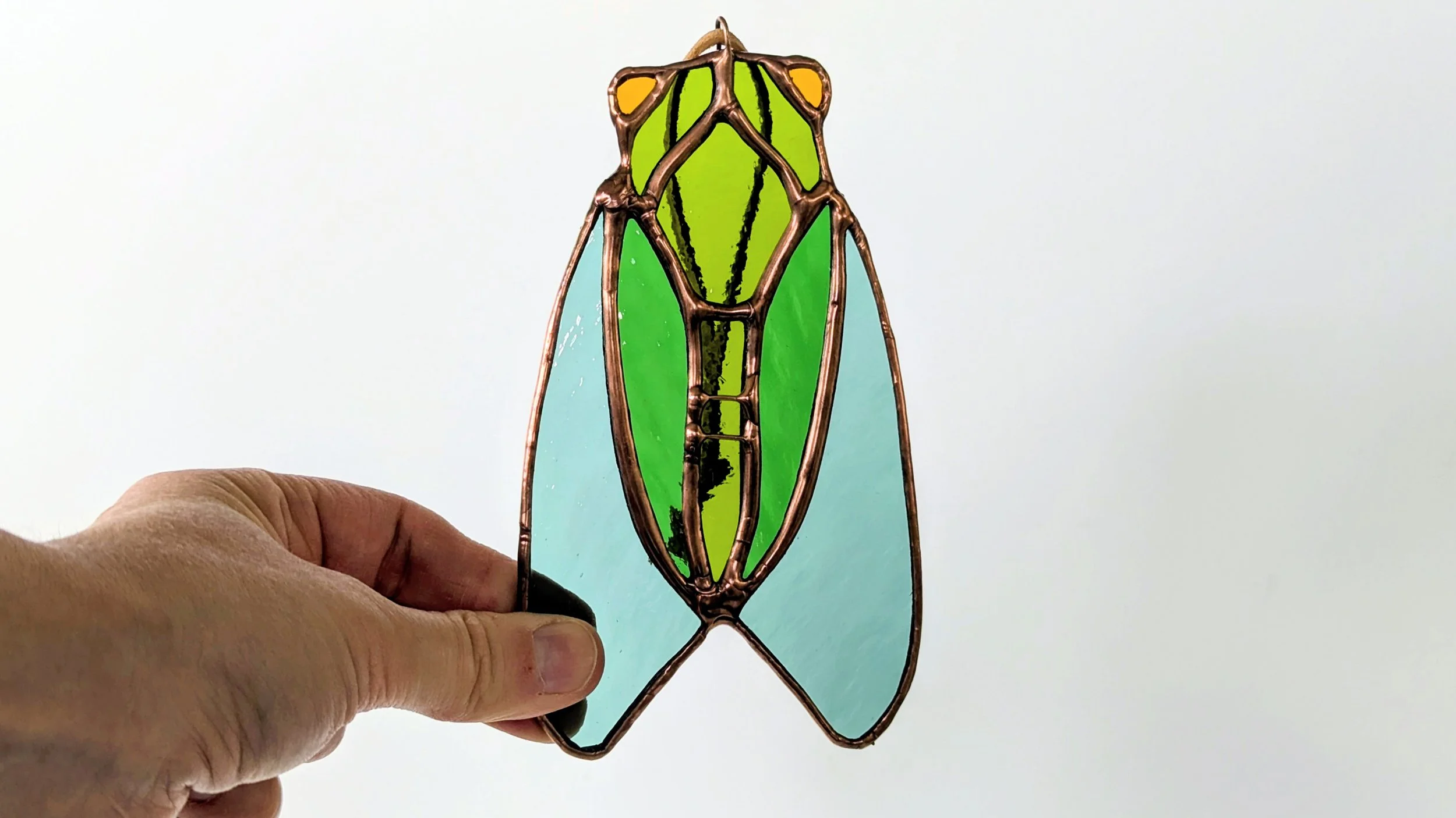 cicada hand.jpg