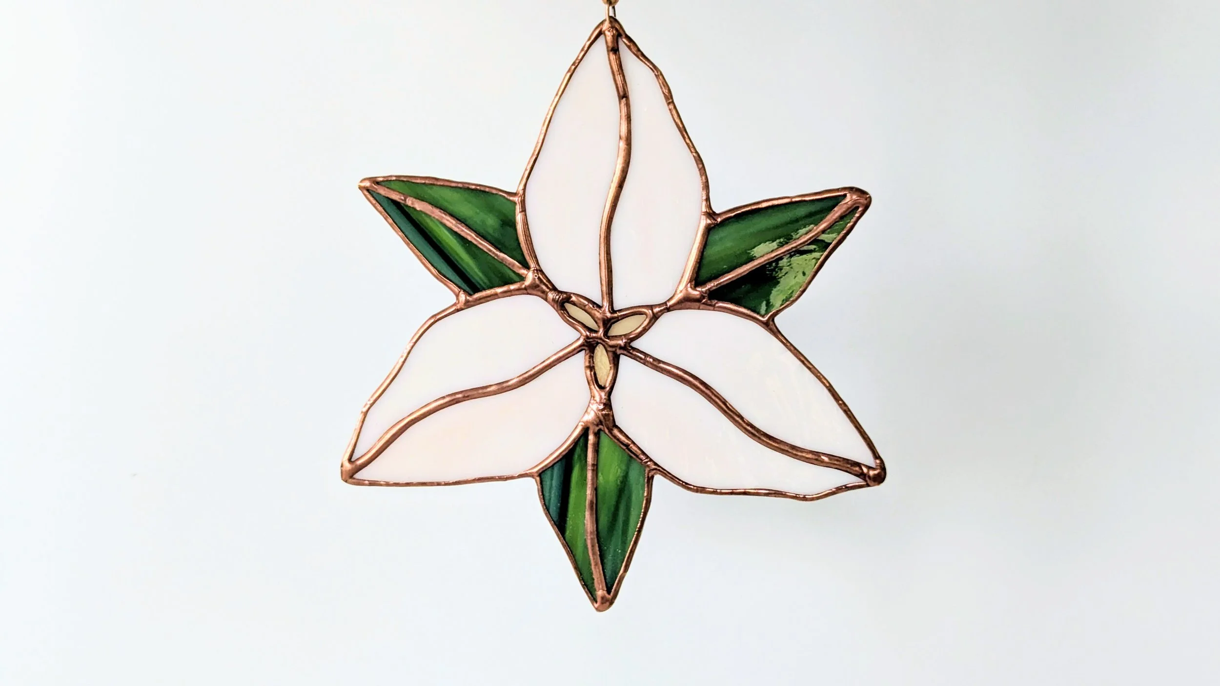 trillium cream hanging.jpg