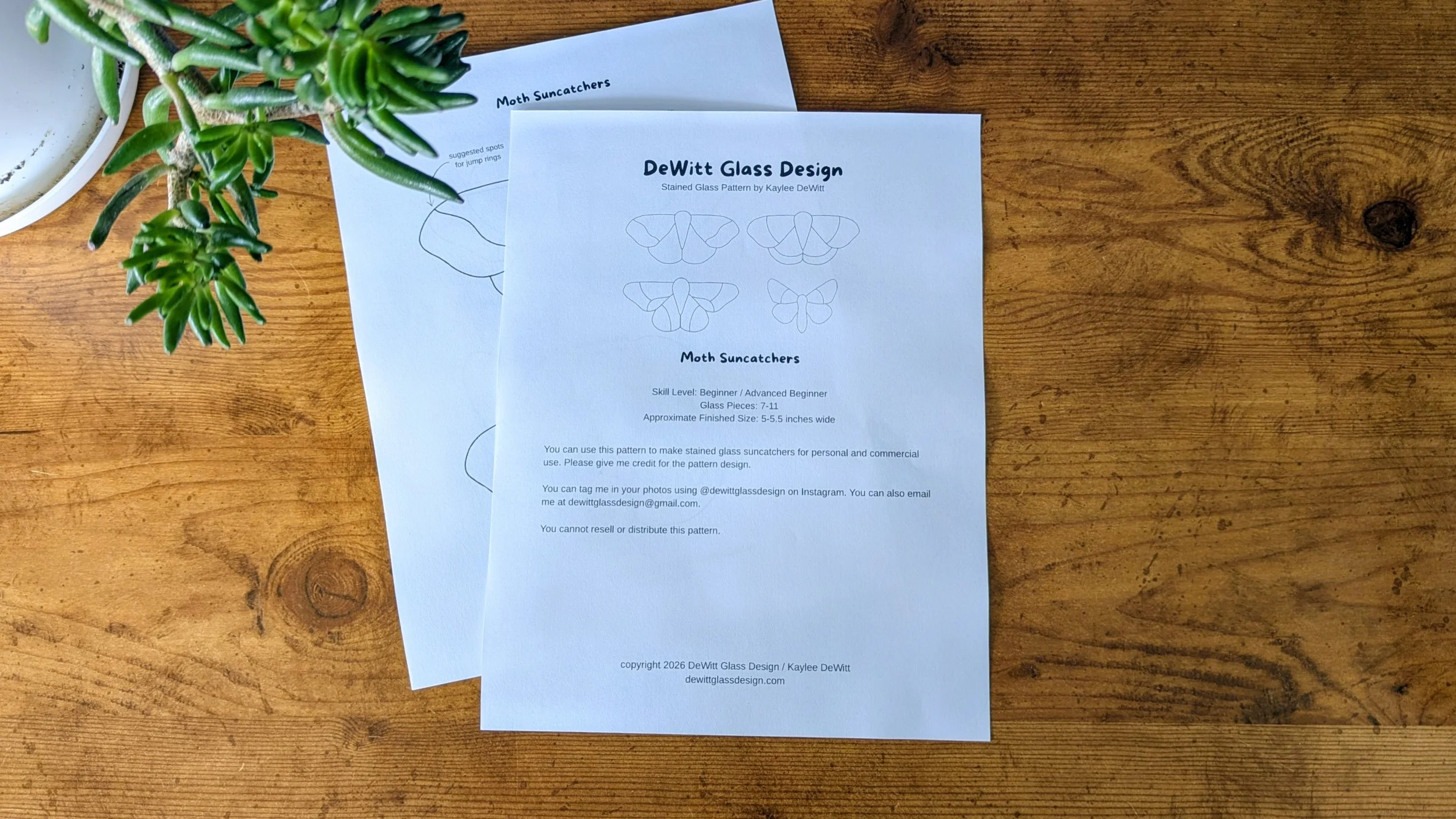 moth pattern basic.jpg