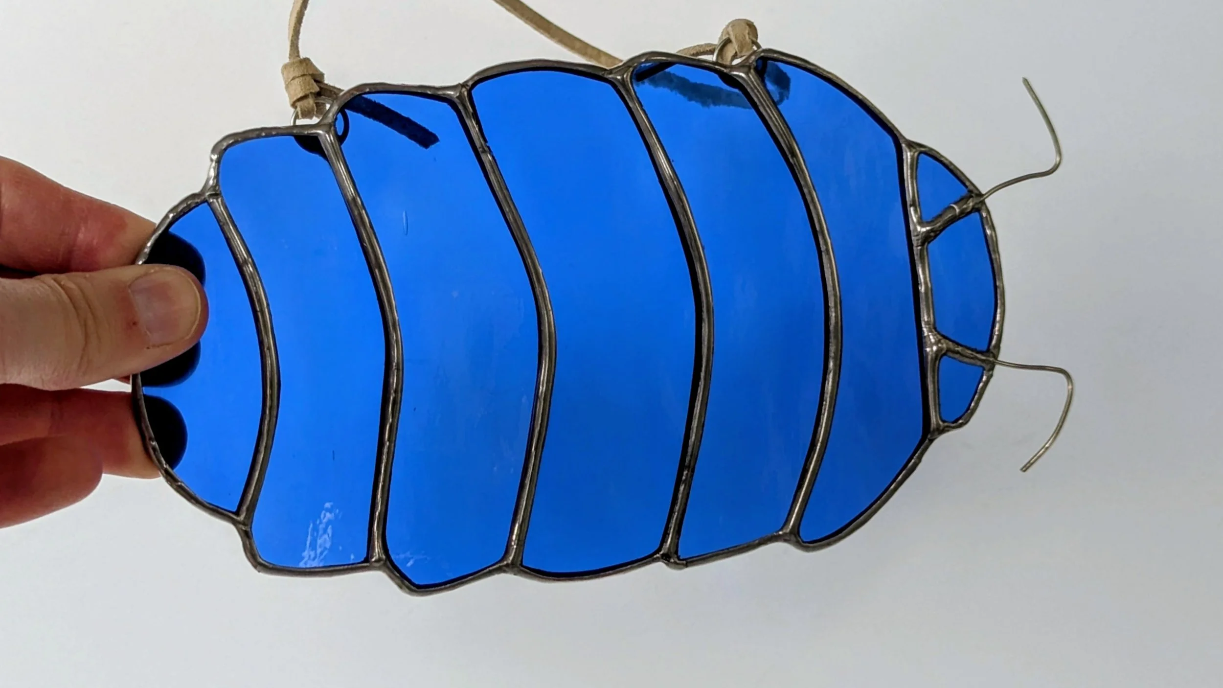 isopod blue hand.jpg