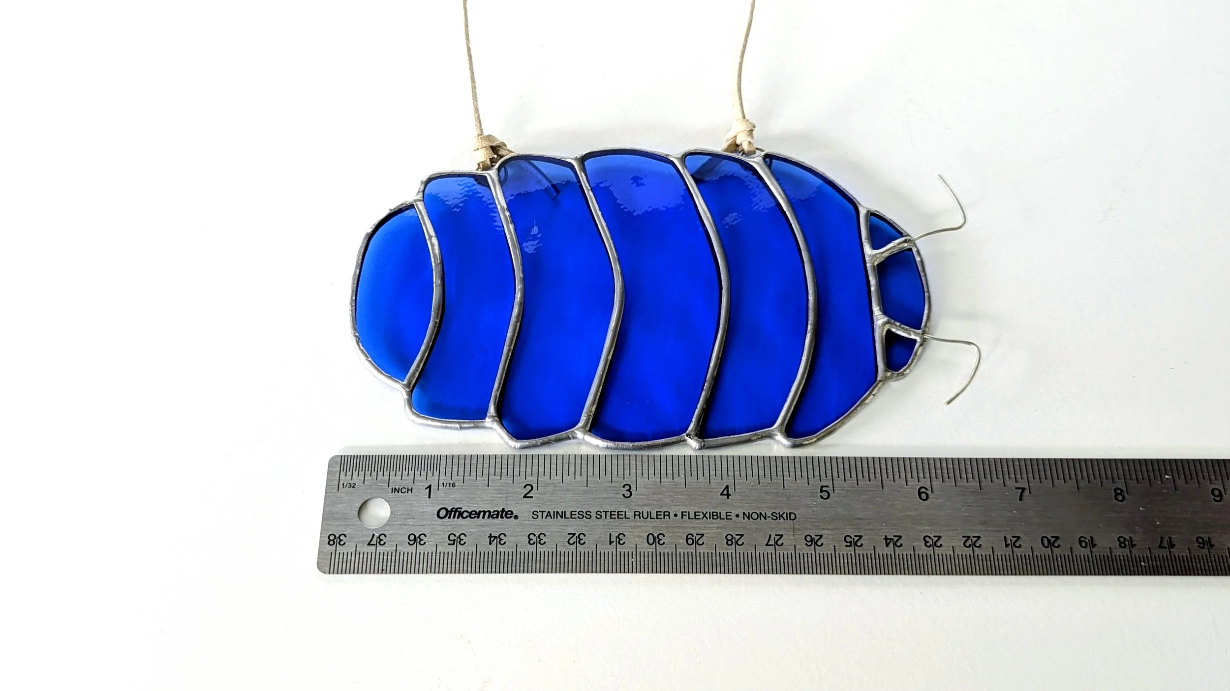 isopod blue ruler.jpg