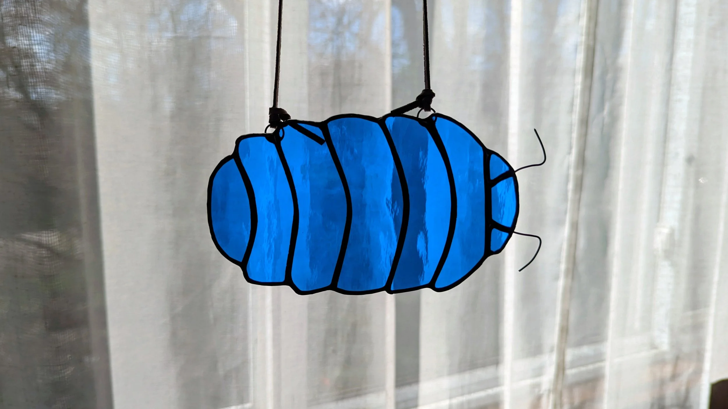 isopod blue window.jpg