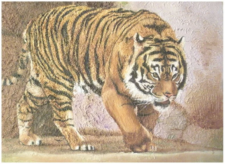 Tiger / Traditional (Oil on Canvas)