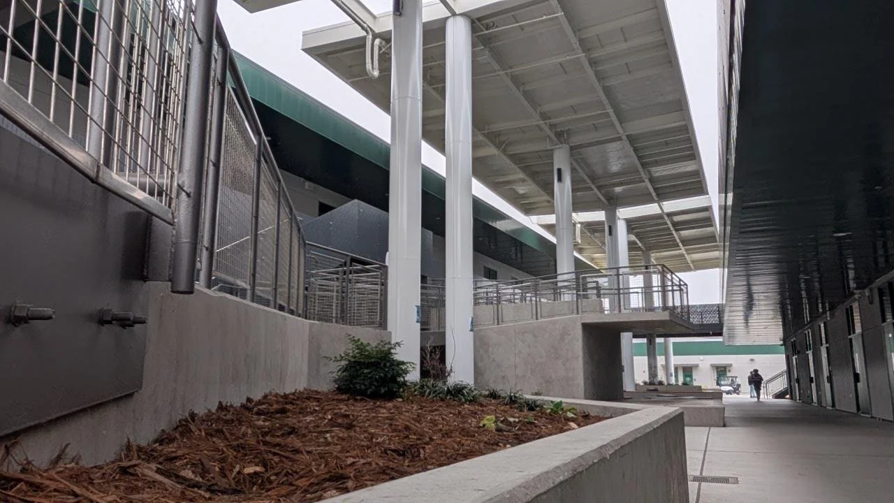 Scene and Herd: School’s common hassles and headaches&nbsp;