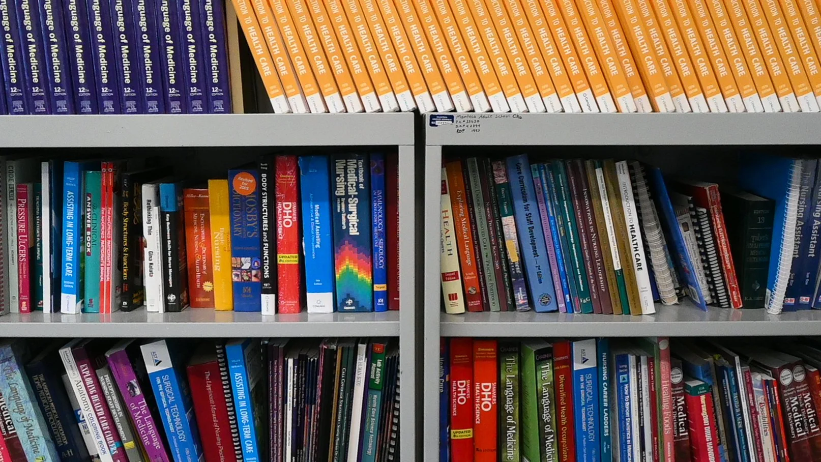 Finding Herself 6,000 Miles Away From Home 