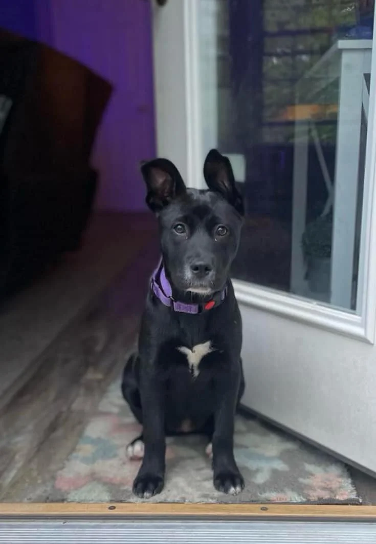 Tiki