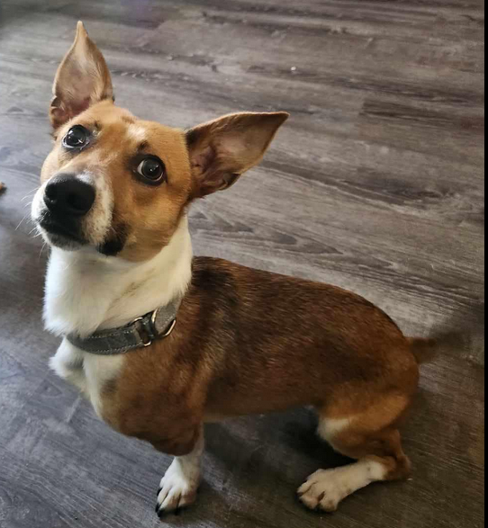 Roscoe