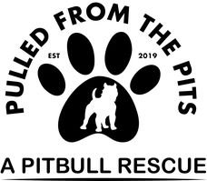 Pulled From the Pits-A Pitbull Rescue