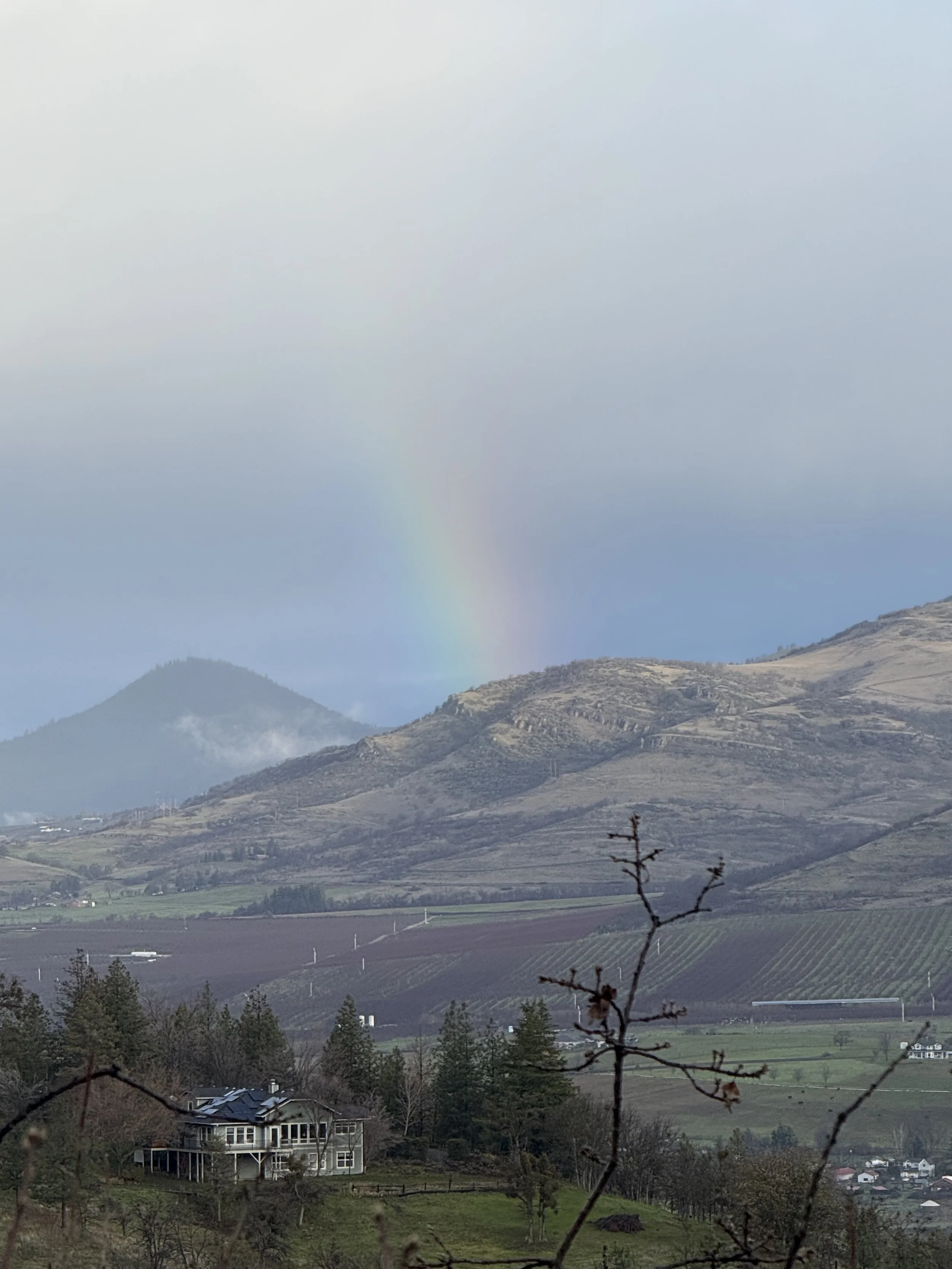 Nature’s Divine Paintbrush