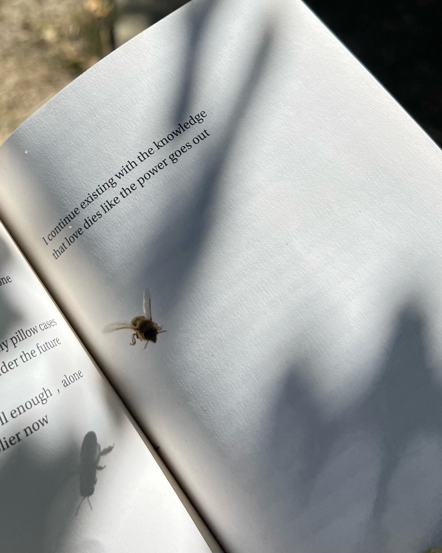 feeling moved and inspired reading @sighswoon work coming from my screen into a tangible thing I can hold and cherish ✨ always thankful for artists who can put my thoughts and feelings into words that I sometimes can not 🪄 and always thankful for th