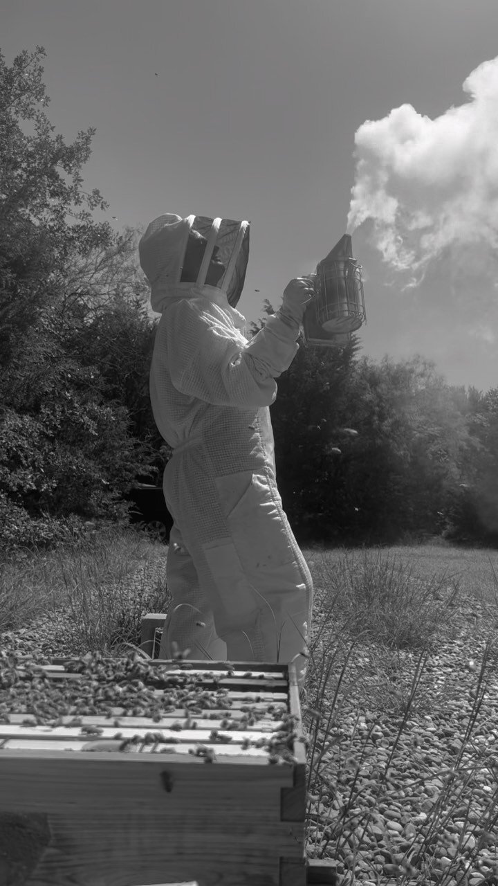 smoke dance ☁️
#honeybees #savethebees #apicultura