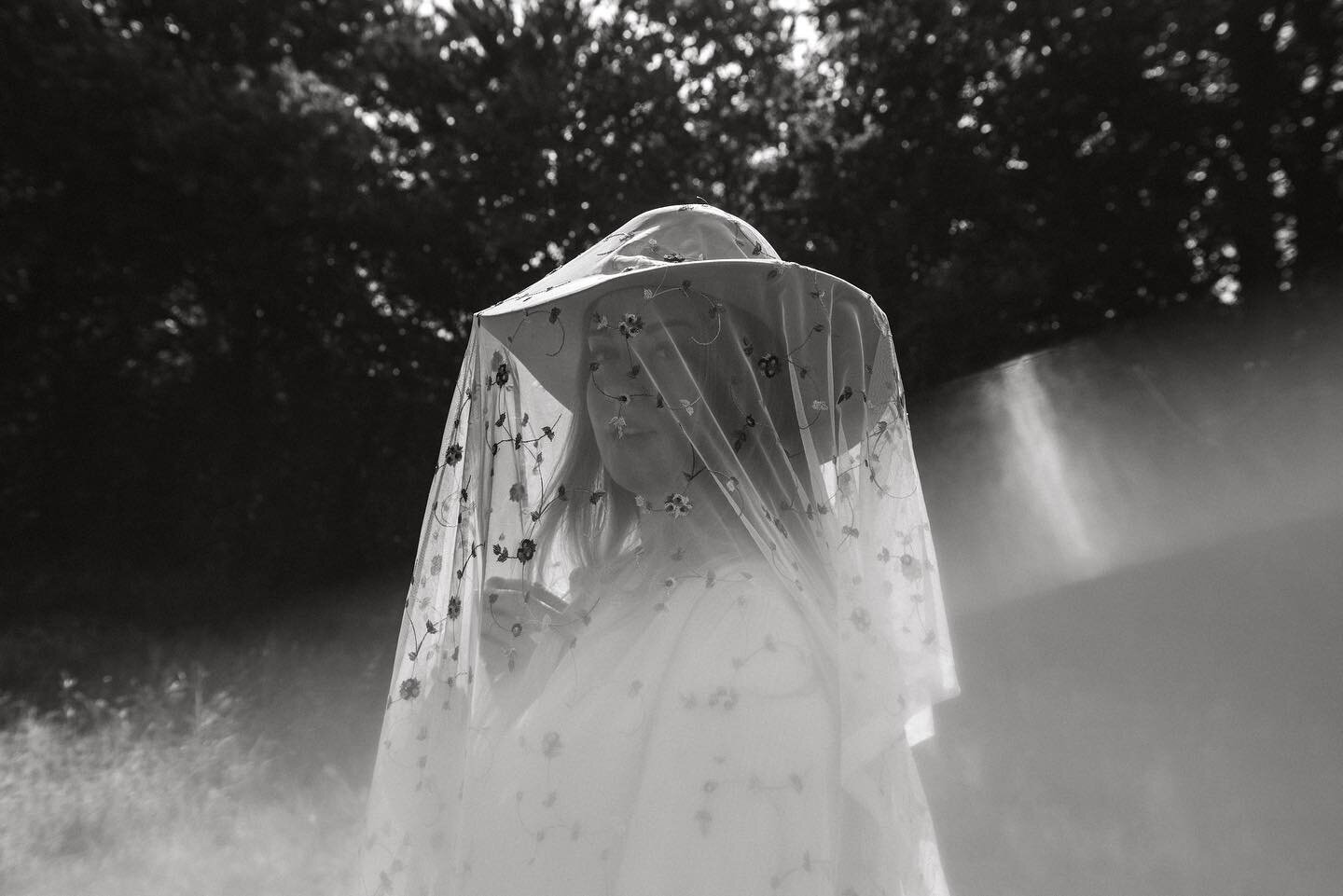 not the most protective veil for the bee yard but surely the most beautiful 💐