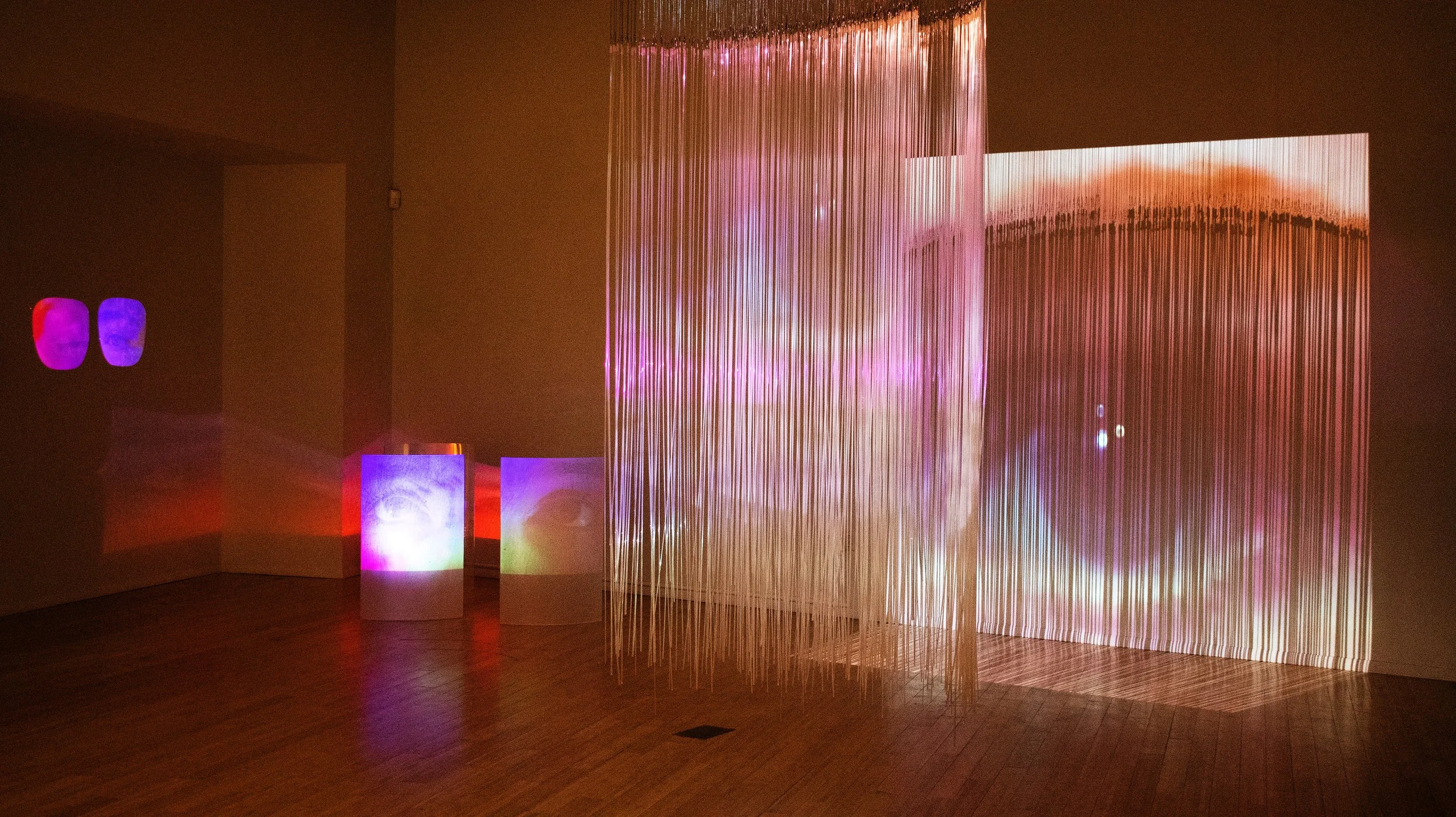 Wandering Eye- BFA Thesis Show