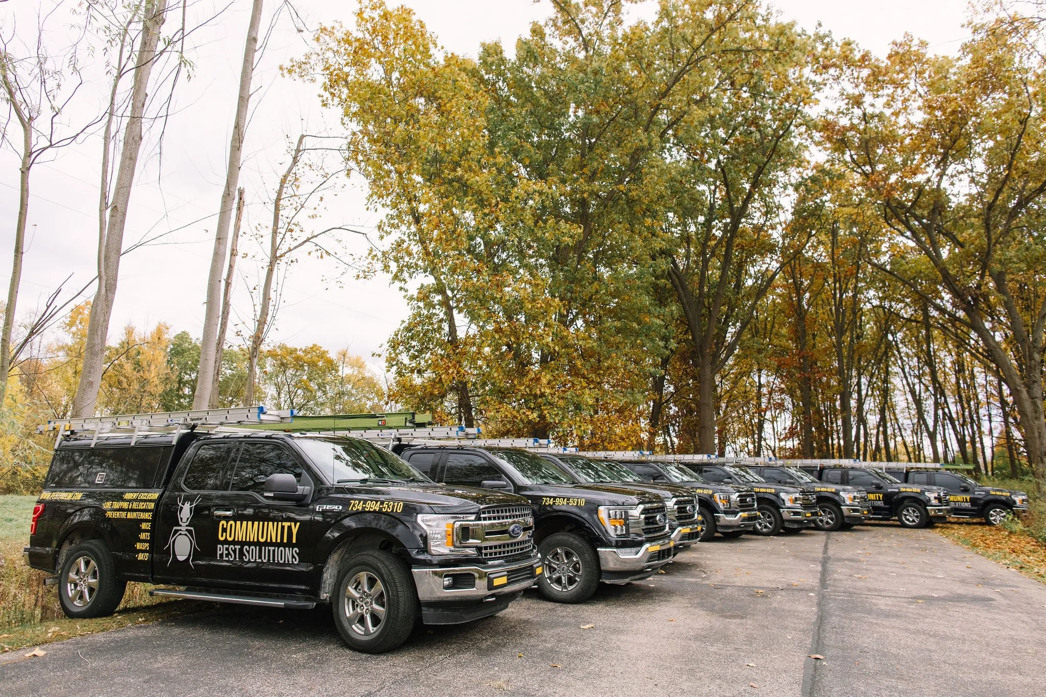Community Pest Solutions Fleet of Trucks.JPG