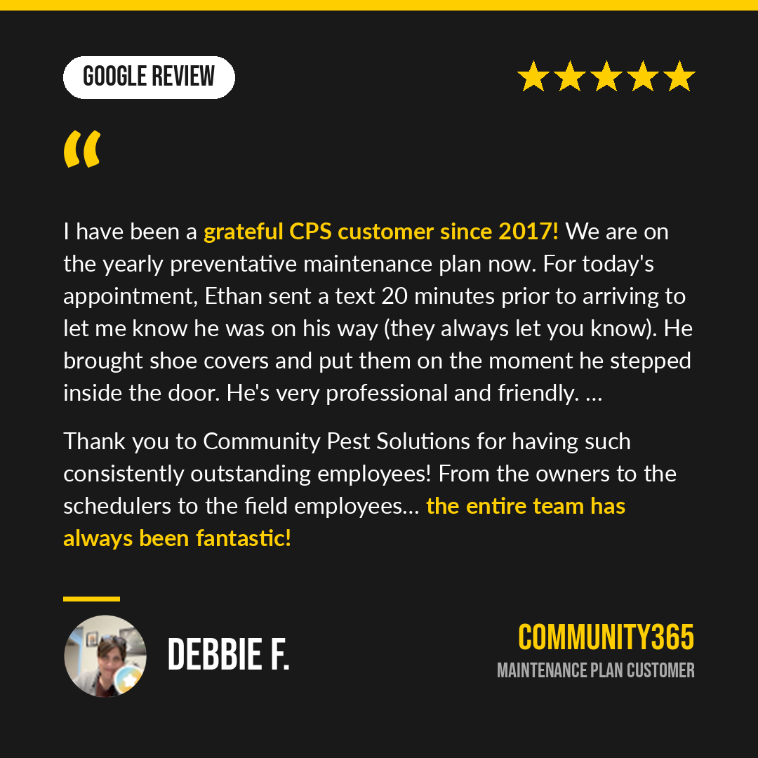 05-google-debbie.png