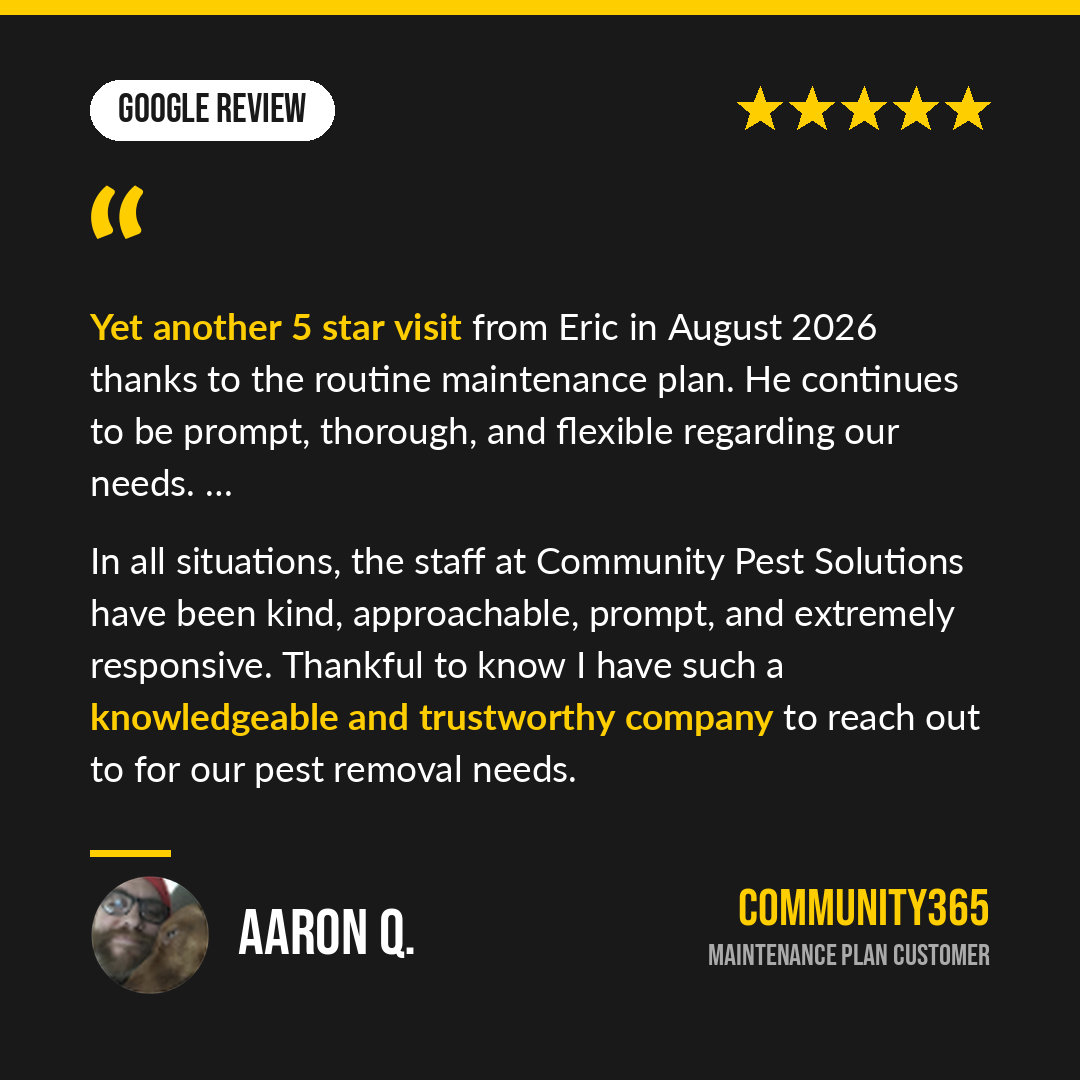 07-google-aaron.png