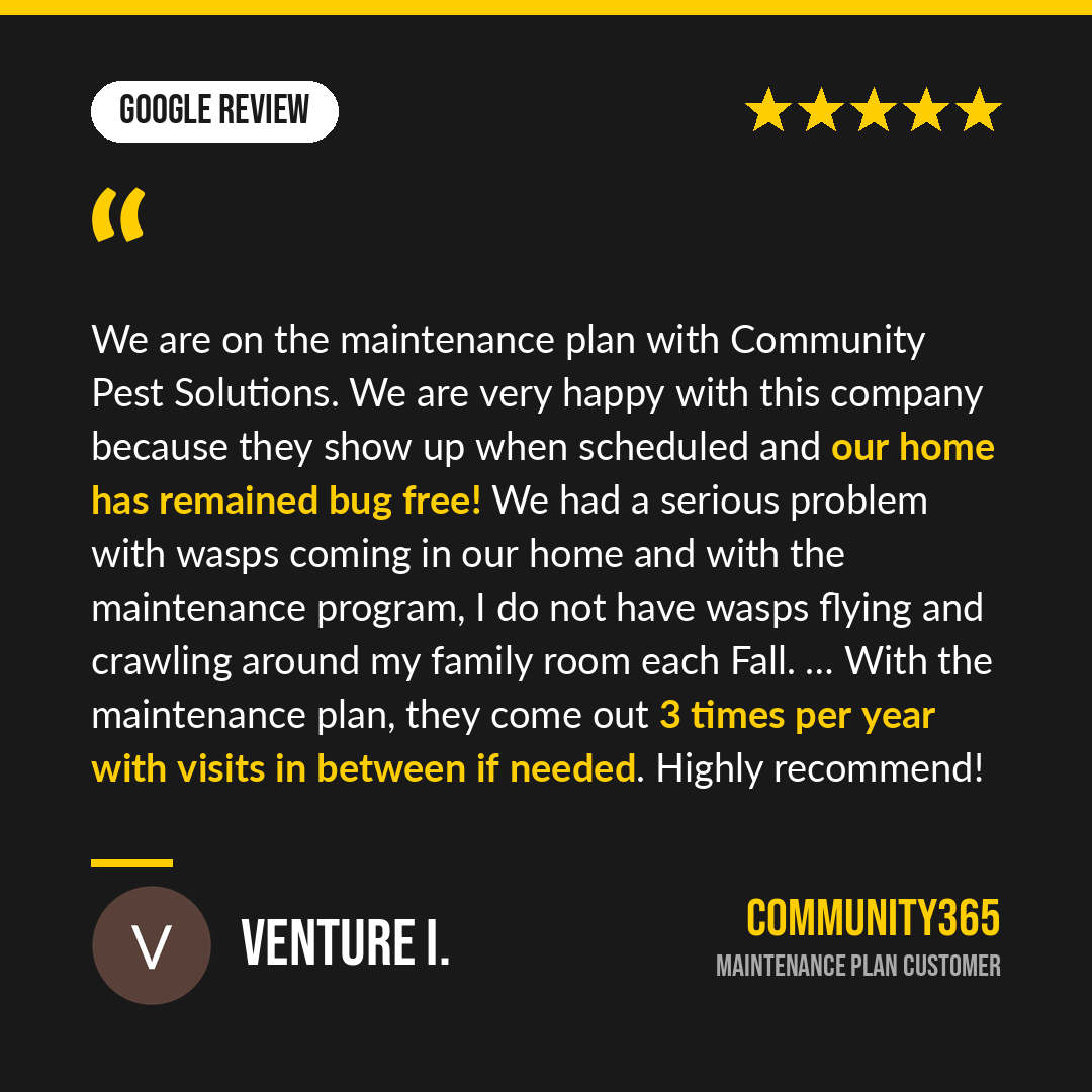 09-google-venture.png