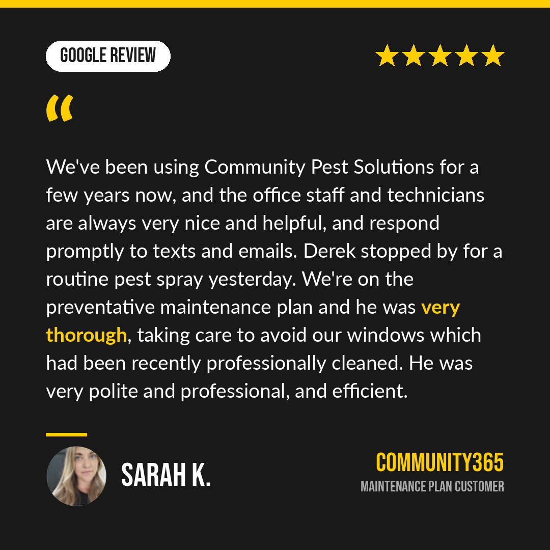 12-google-sarah.png